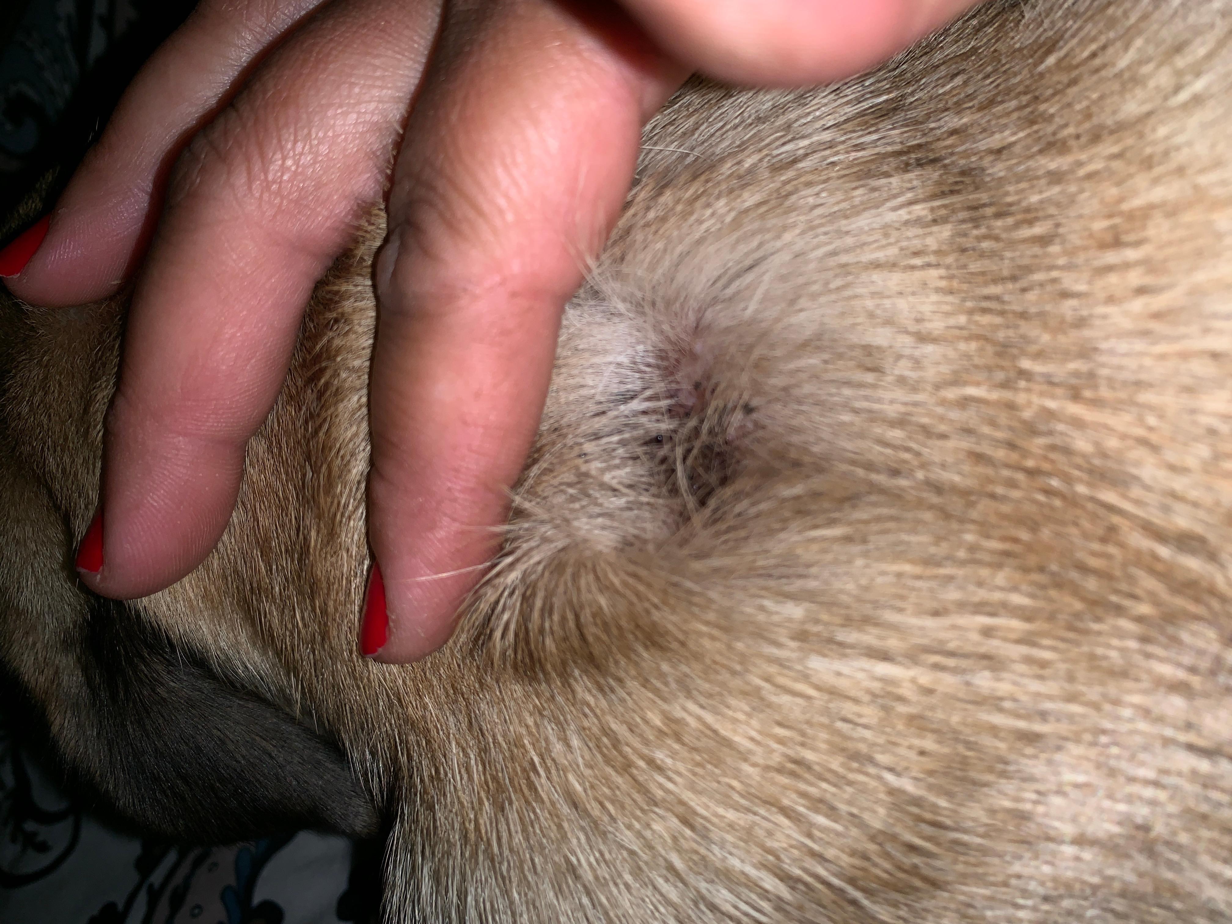 Question details sensitive content