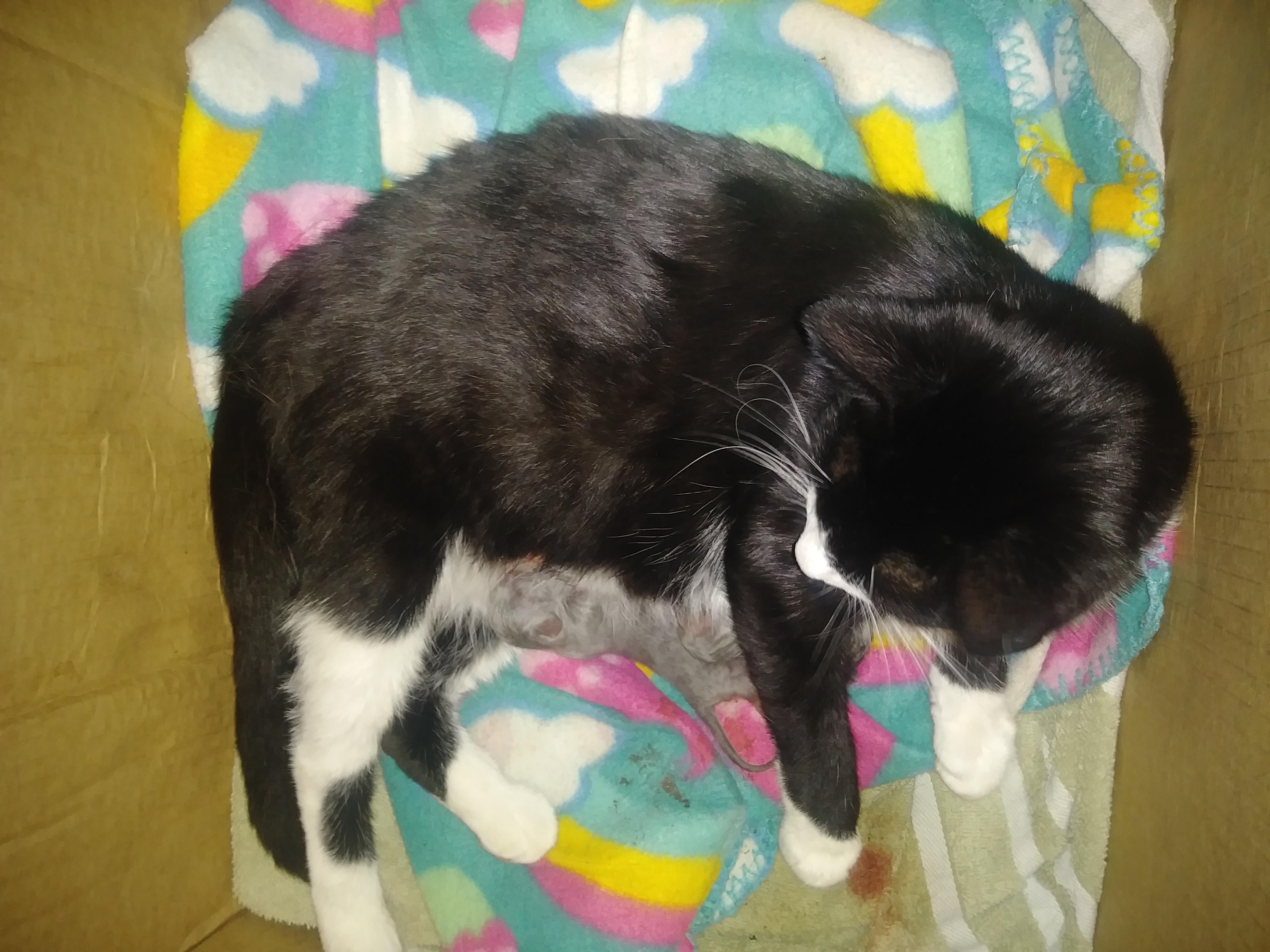 Question details sensitive content