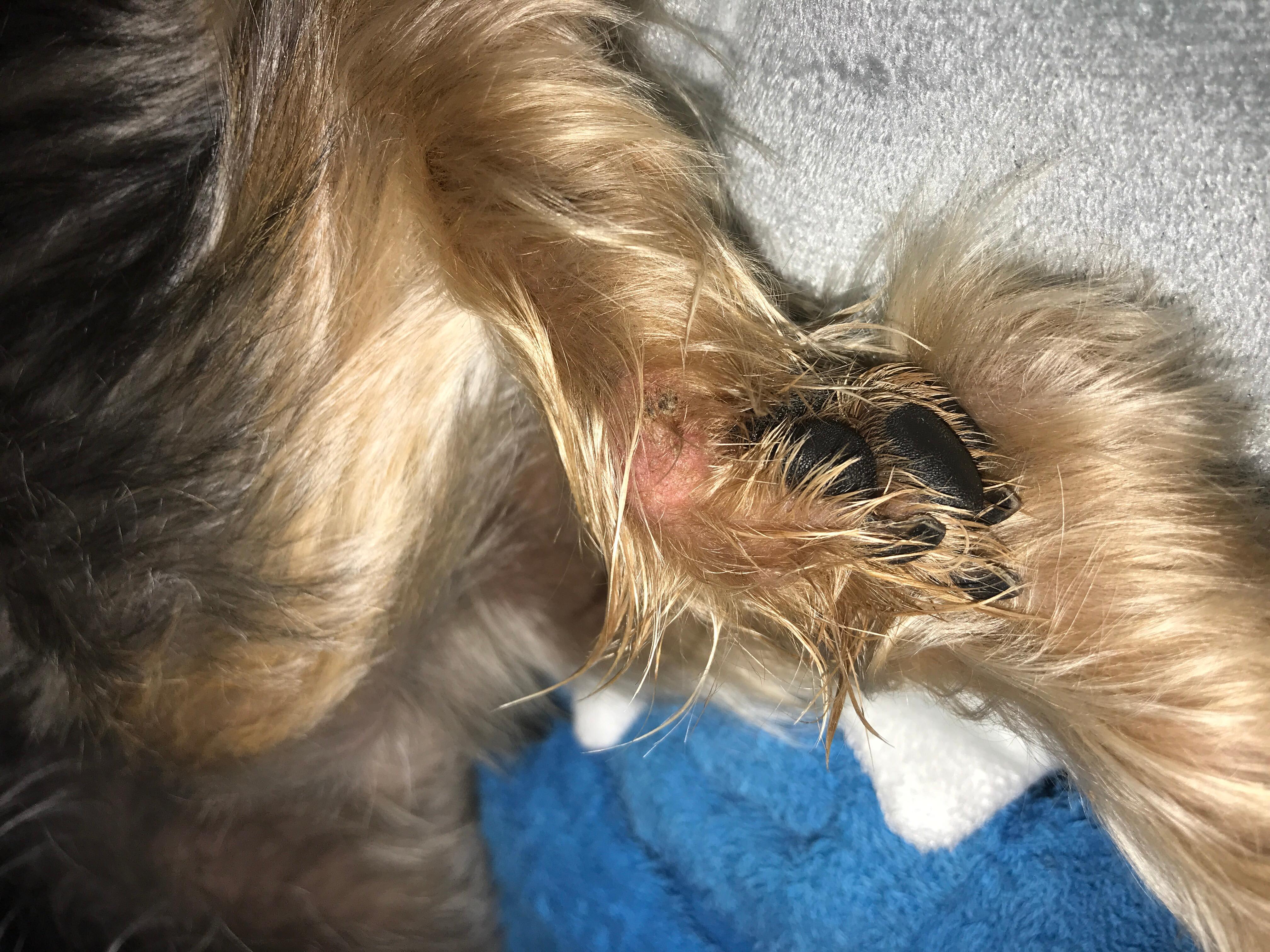 Question details sensitive content