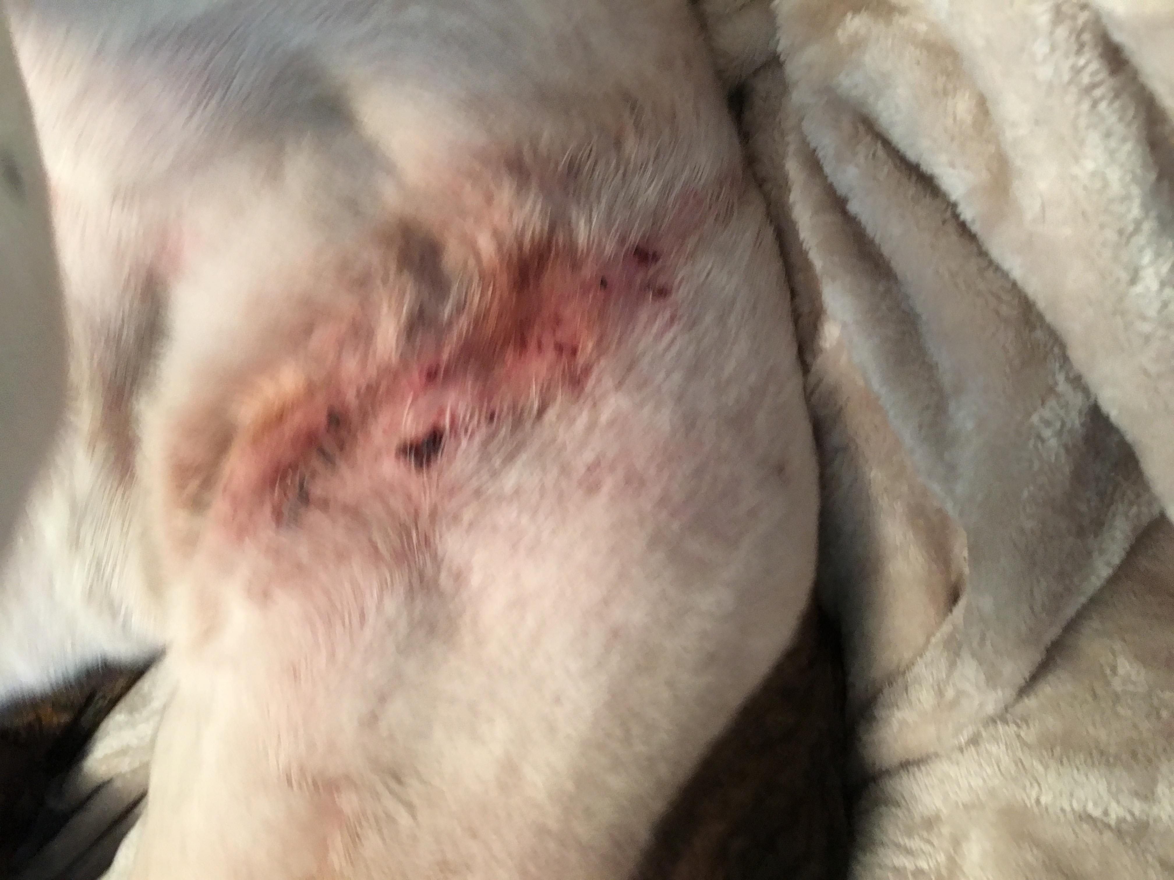 Question details sensitive content