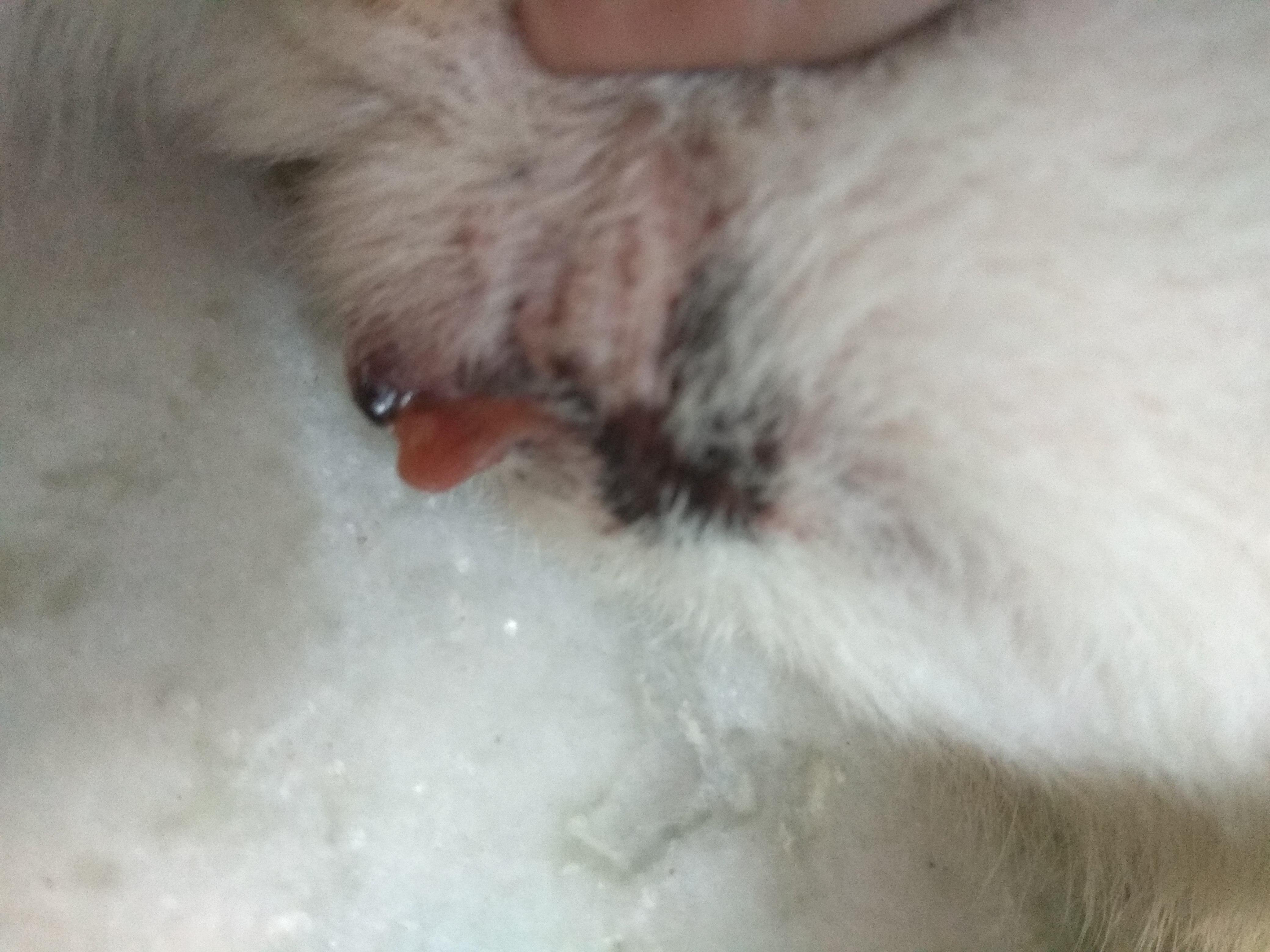 Question details sensitive content