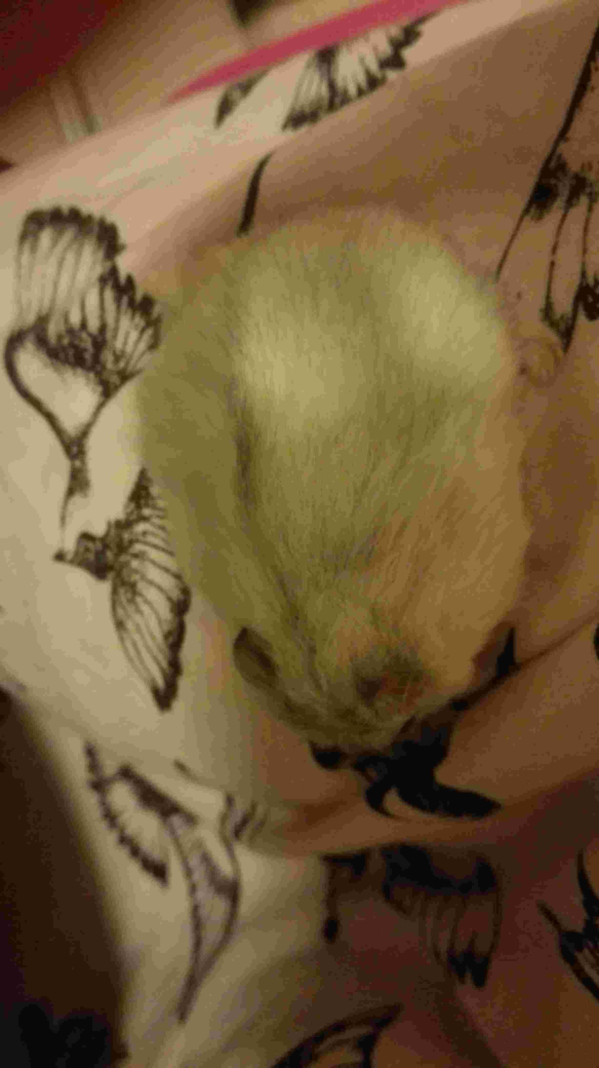 Question details sensitive content