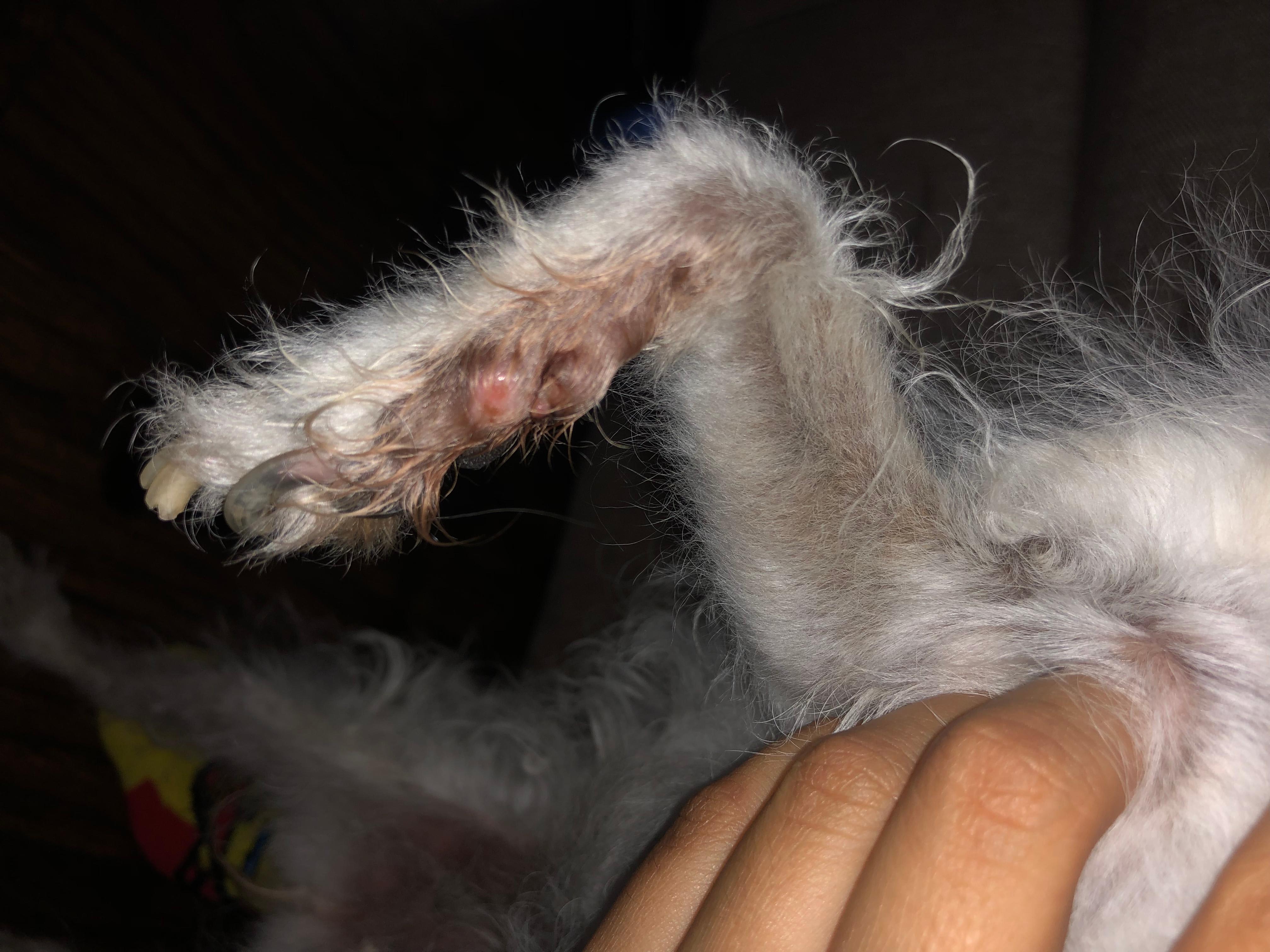 Question details sensitive content