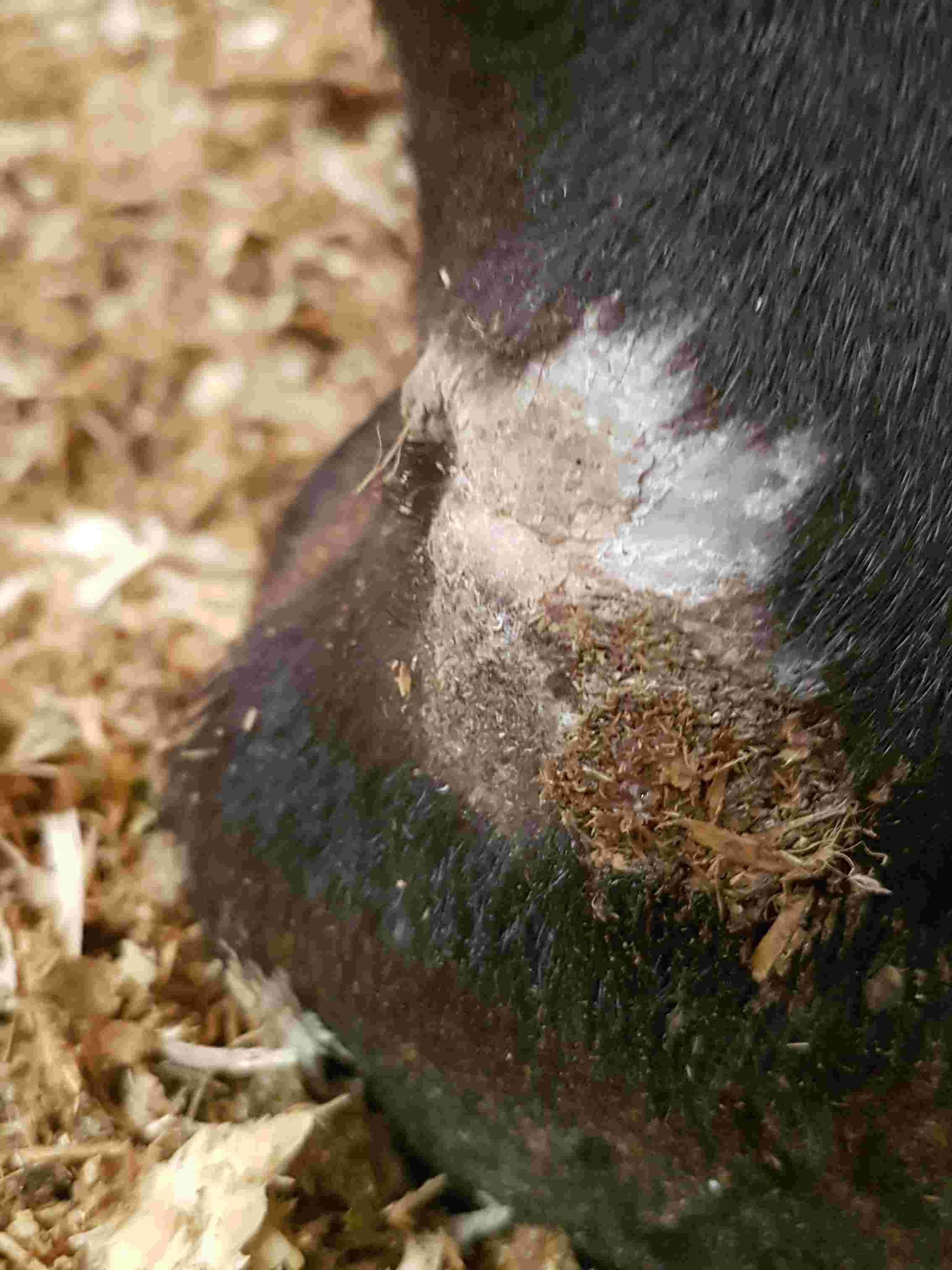 Question details sensitive content