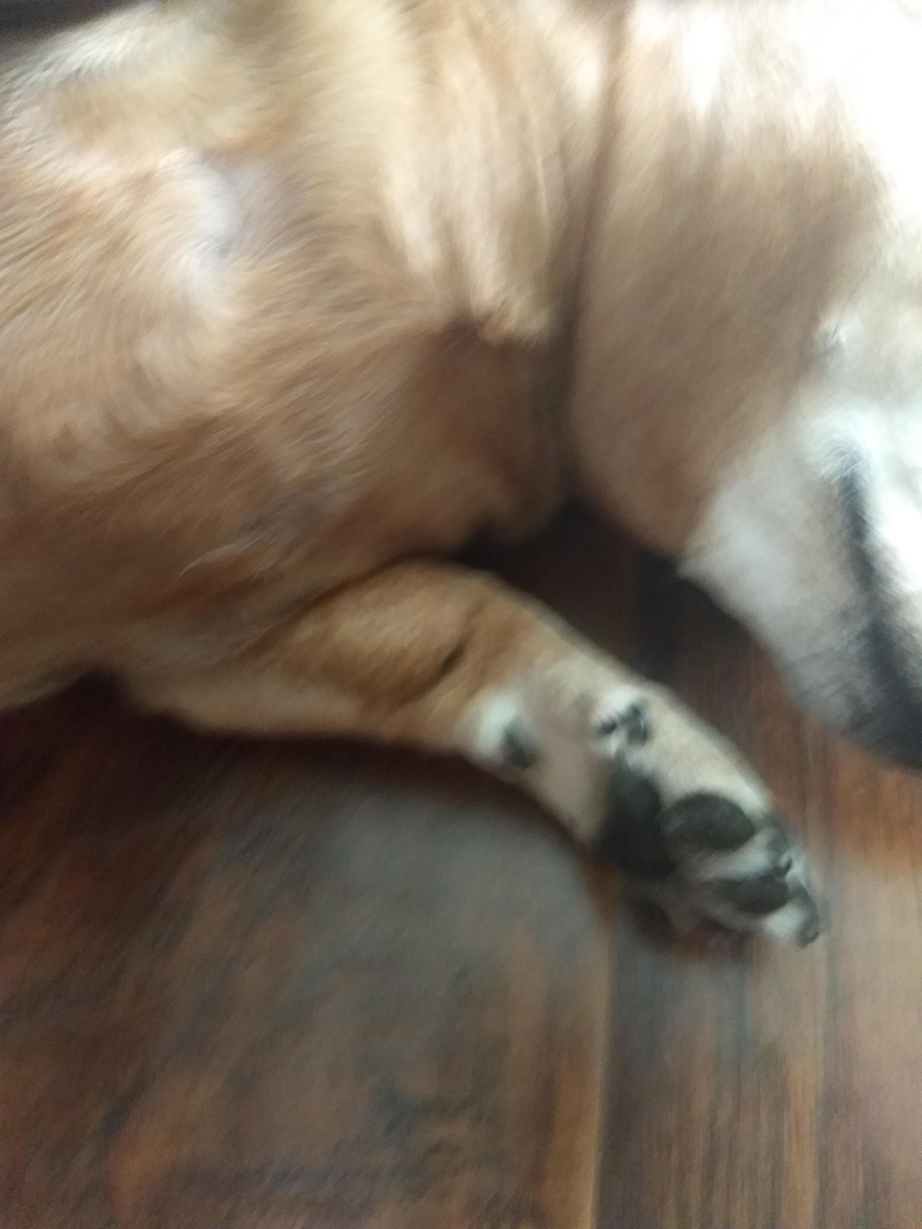 Question details sensitive content