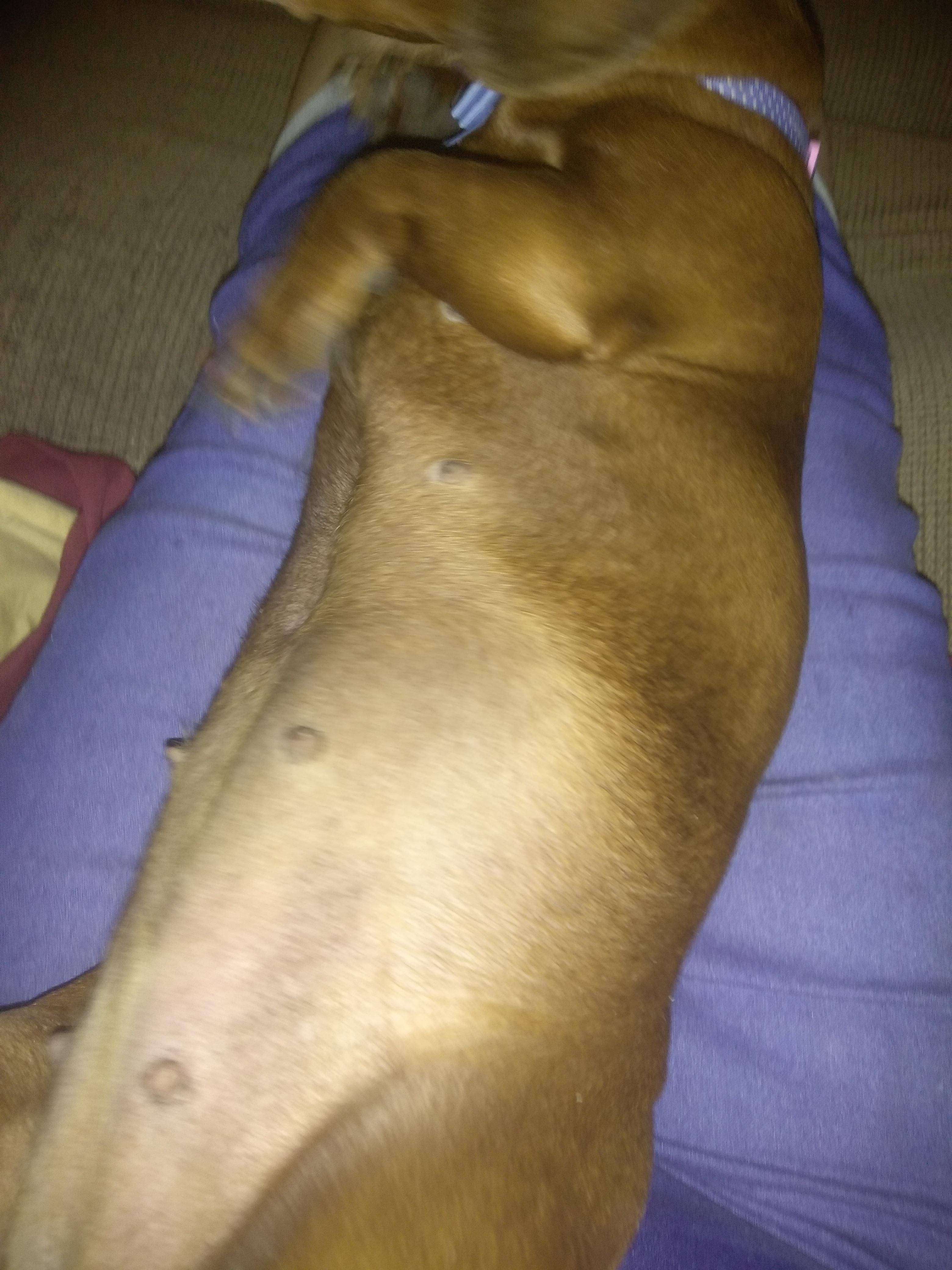 Question details sensitive content