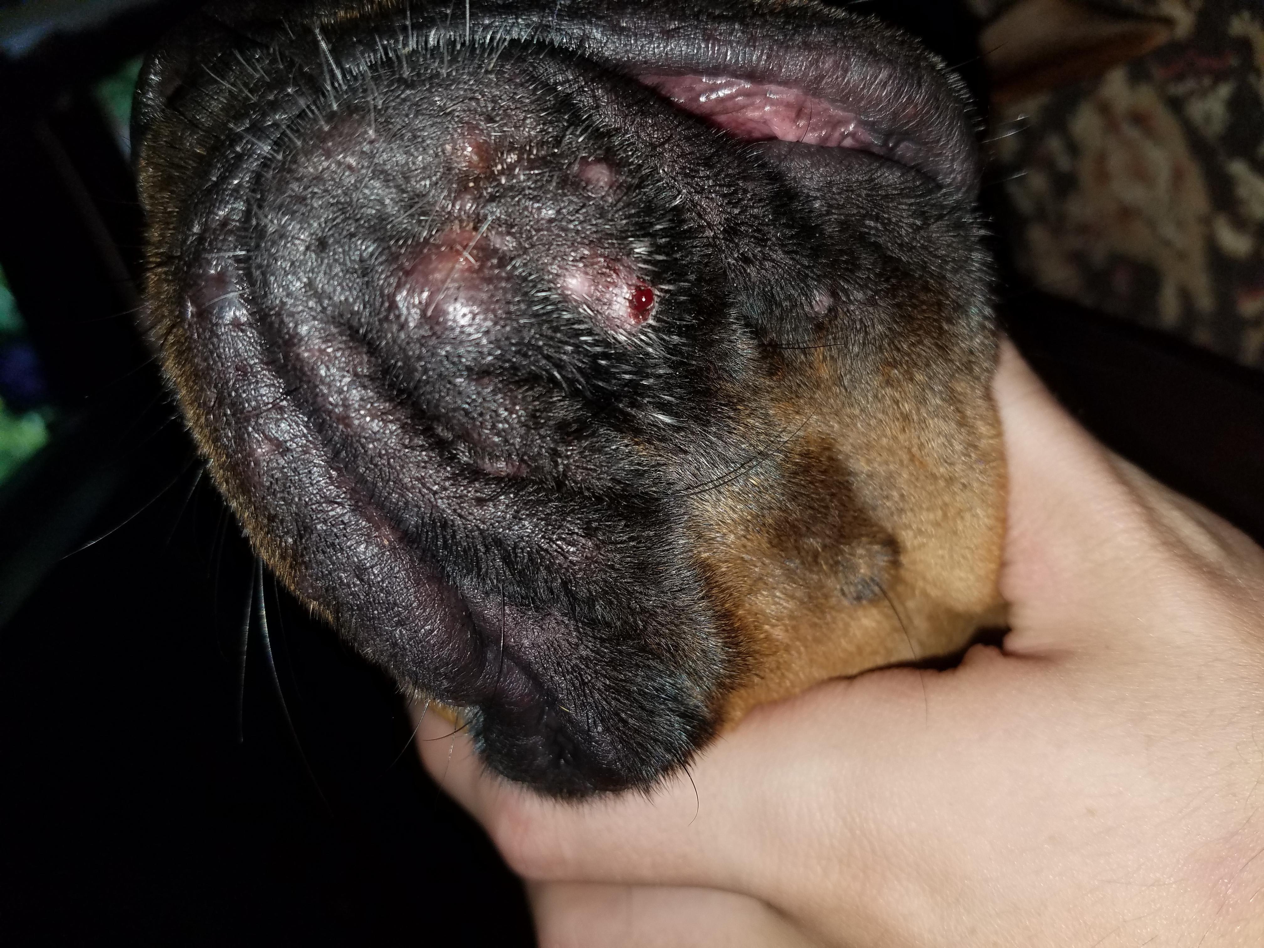 Question details sensitive content