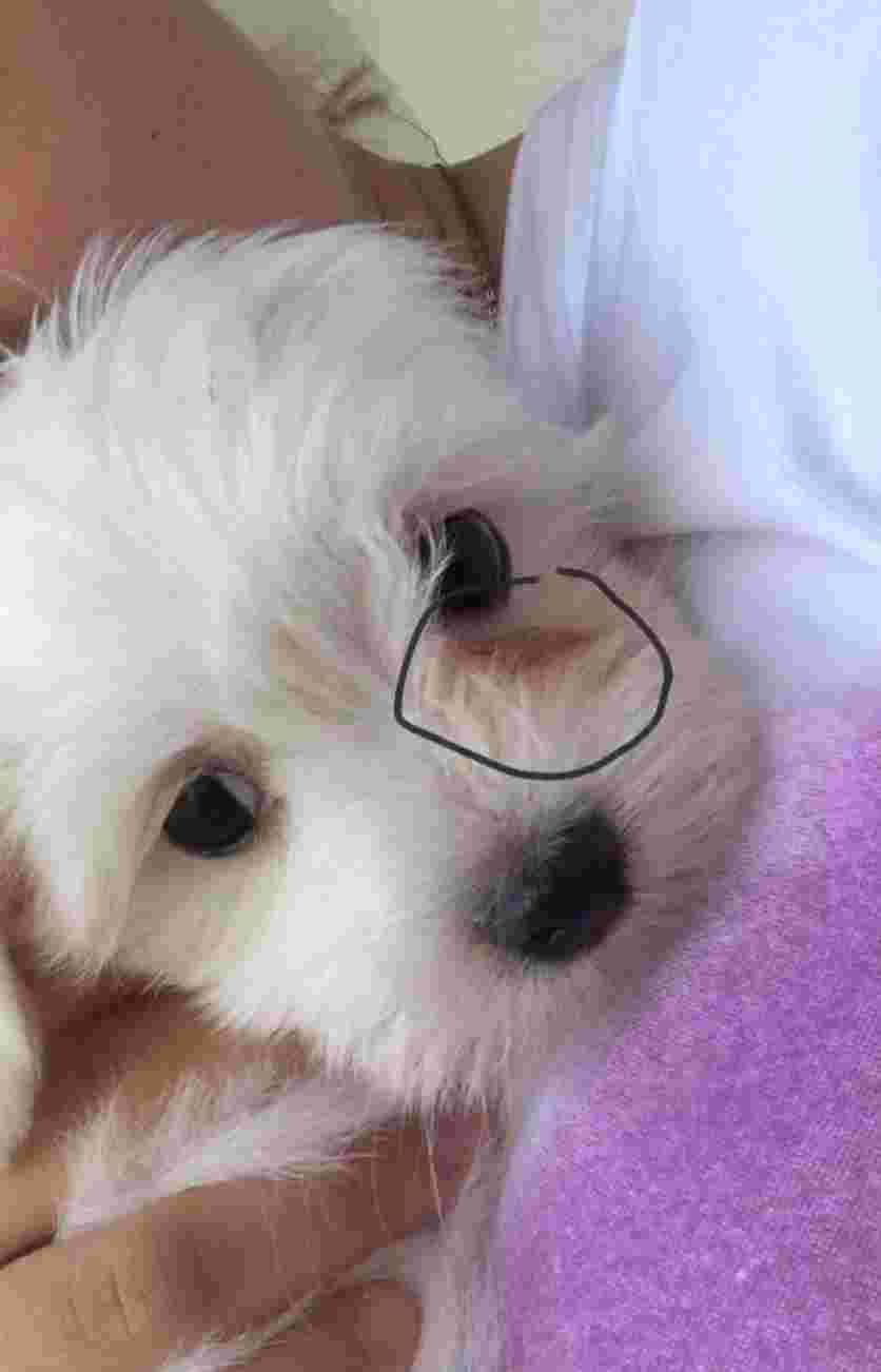 Question details sensitive content