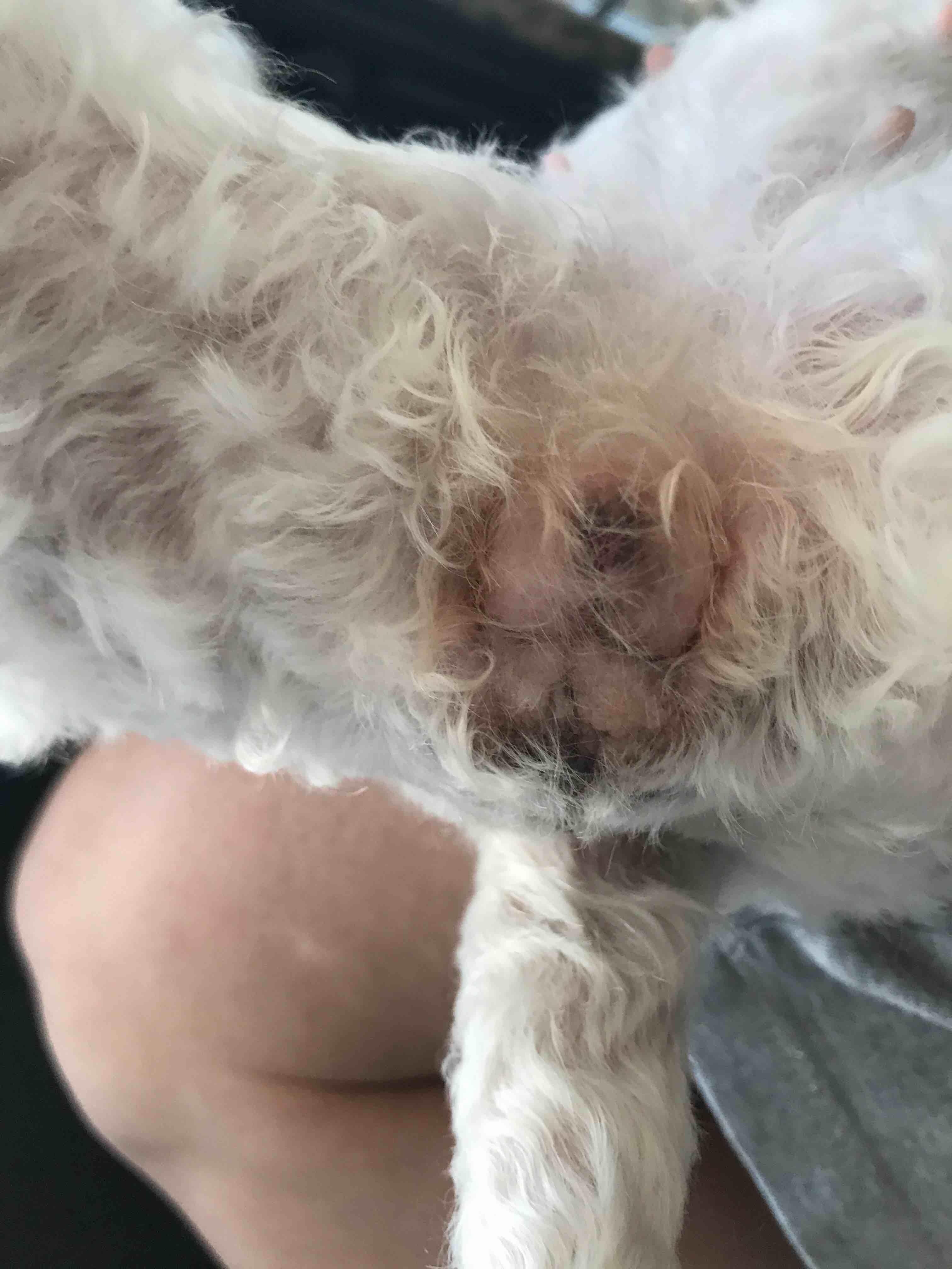 Question details sensitive content