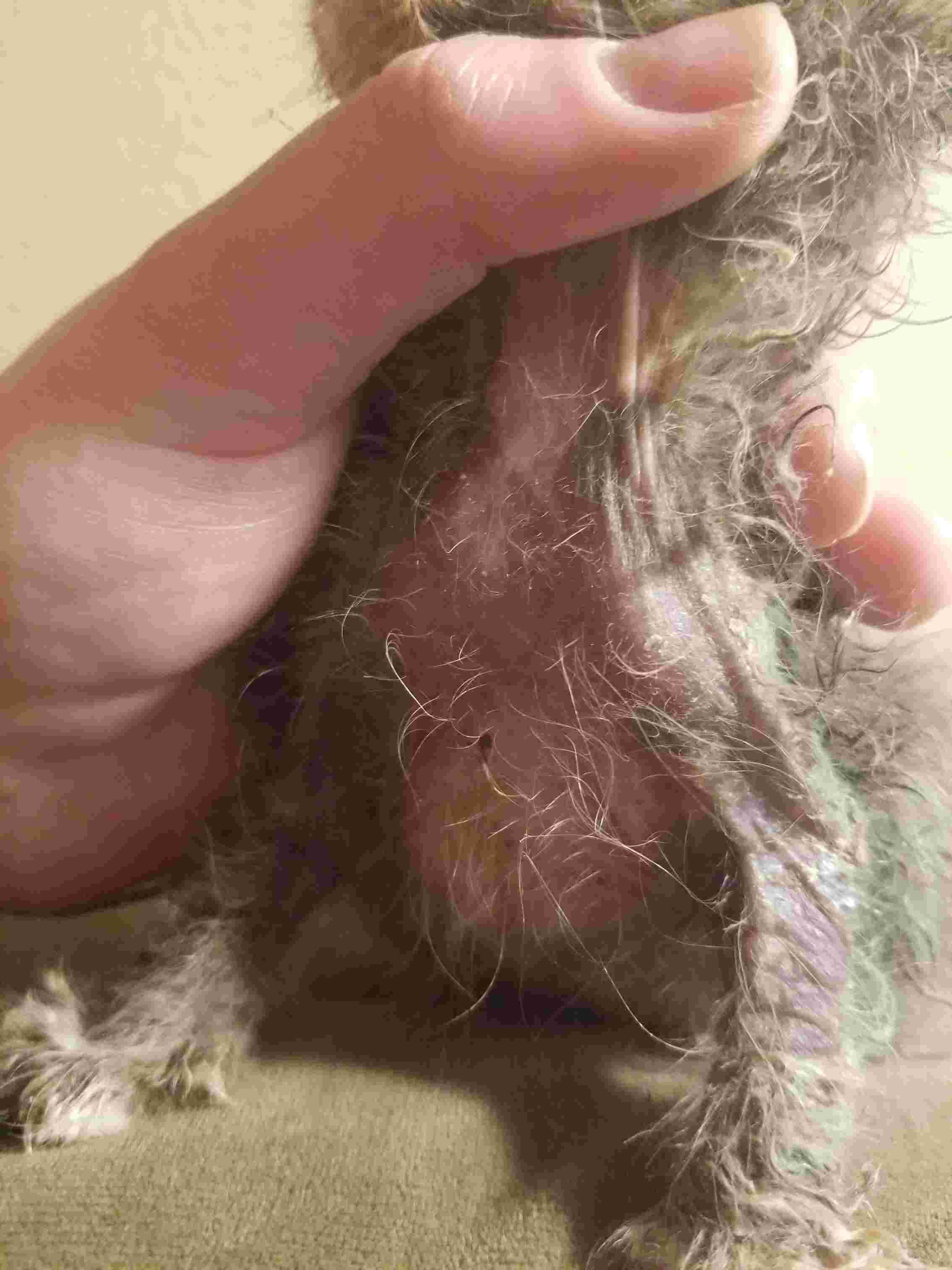 Question details sensitive content