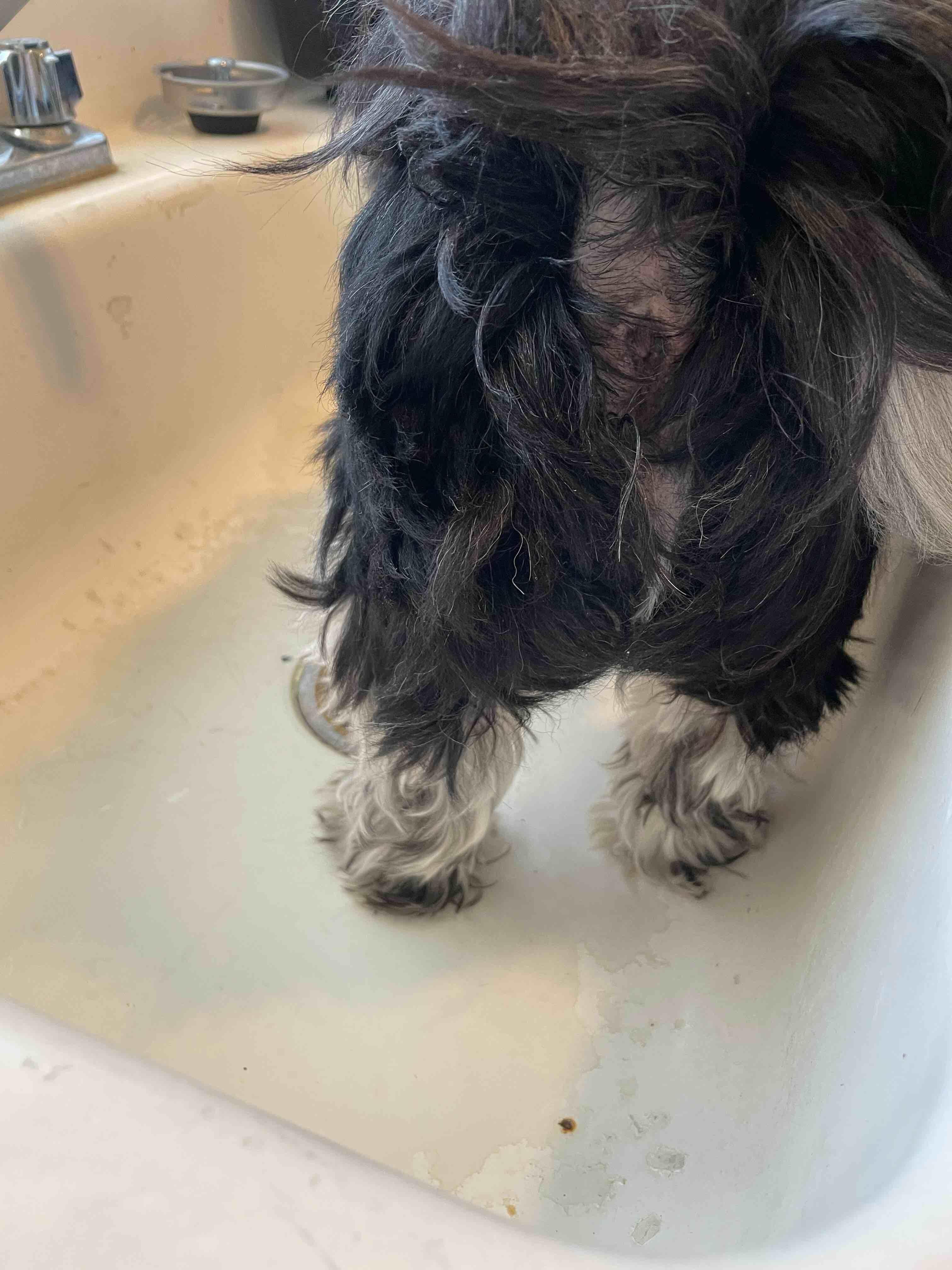 Question details sensitive content