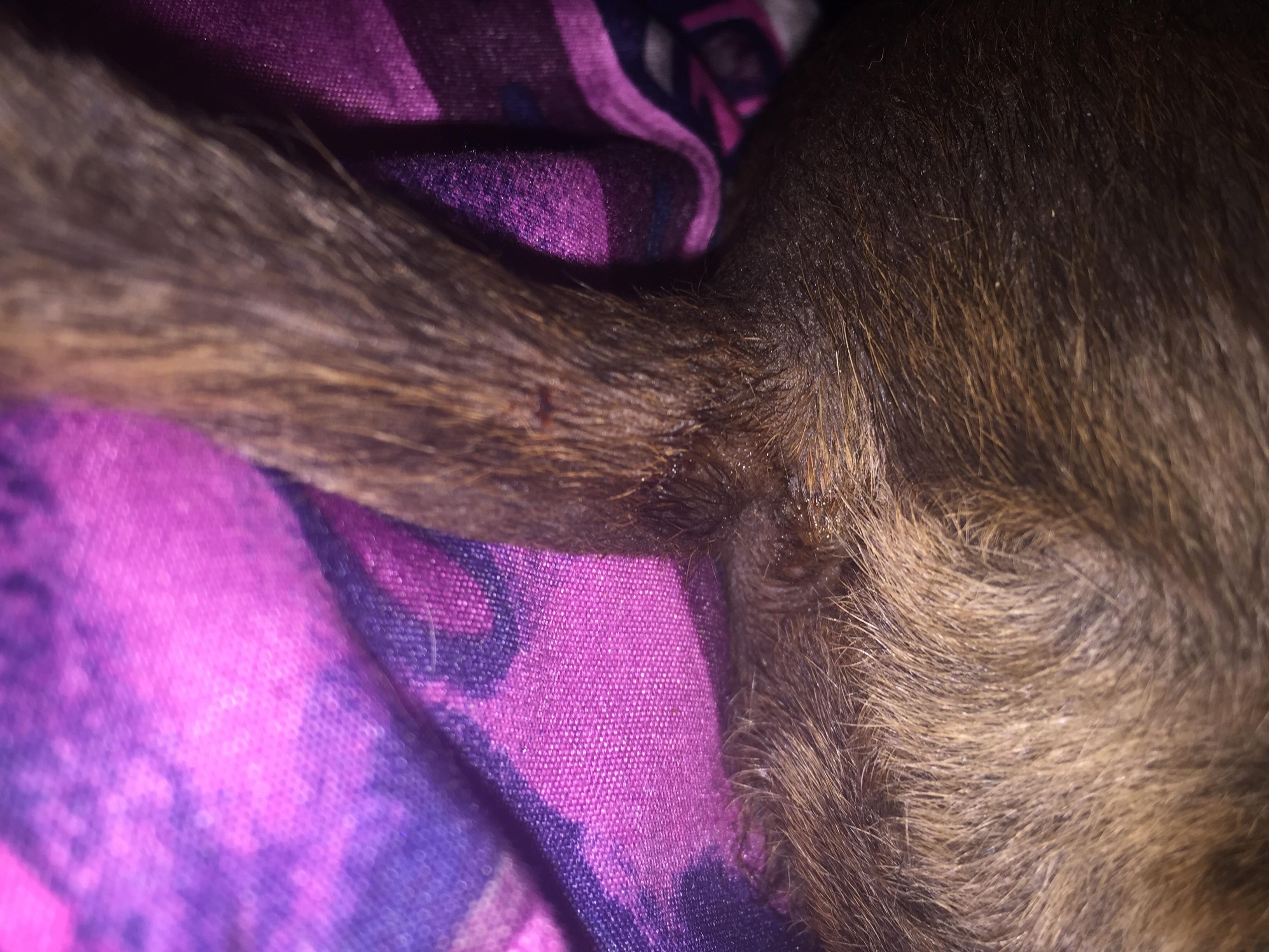 Question details sensitive content