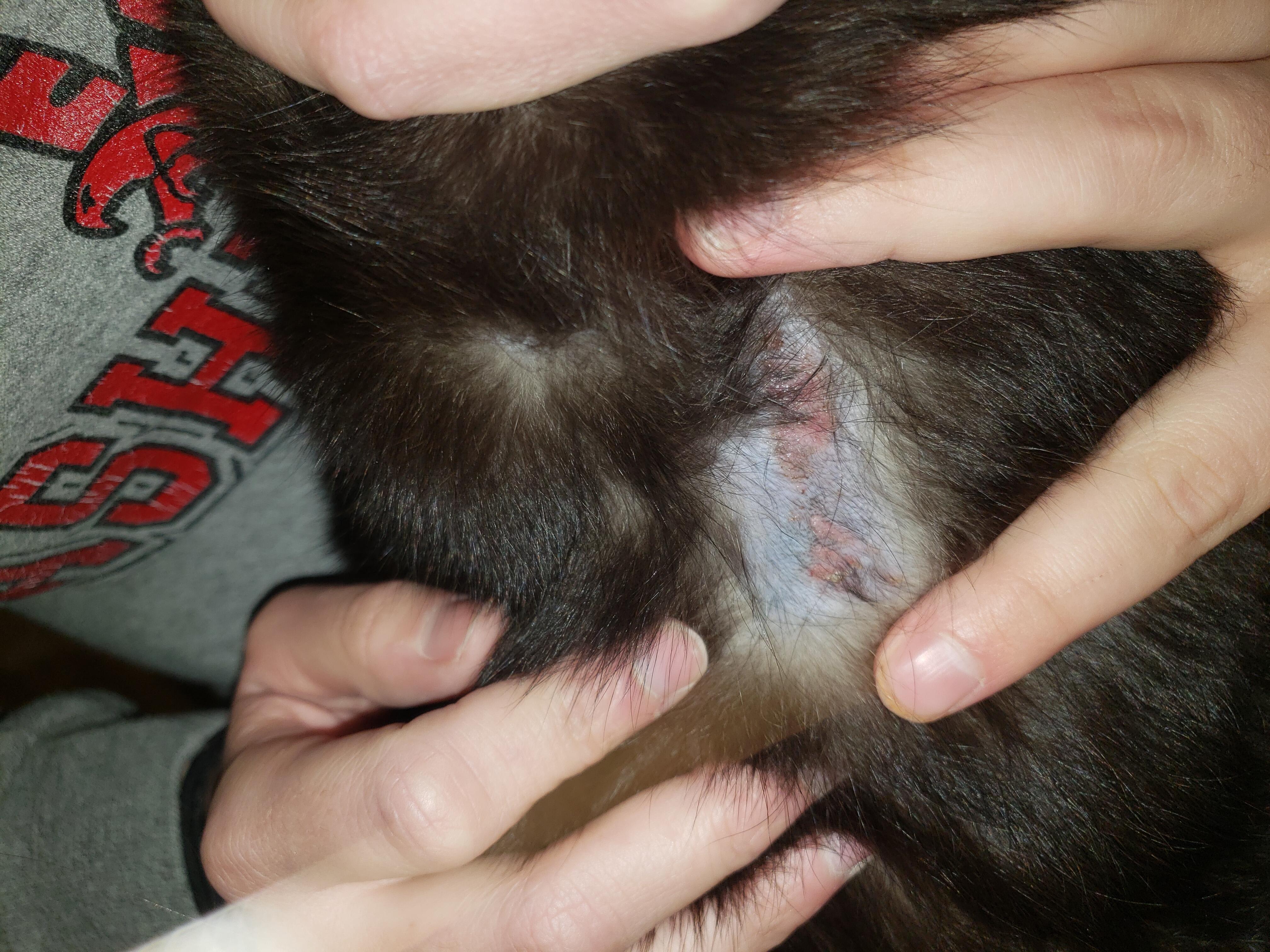 Question details sensitive content