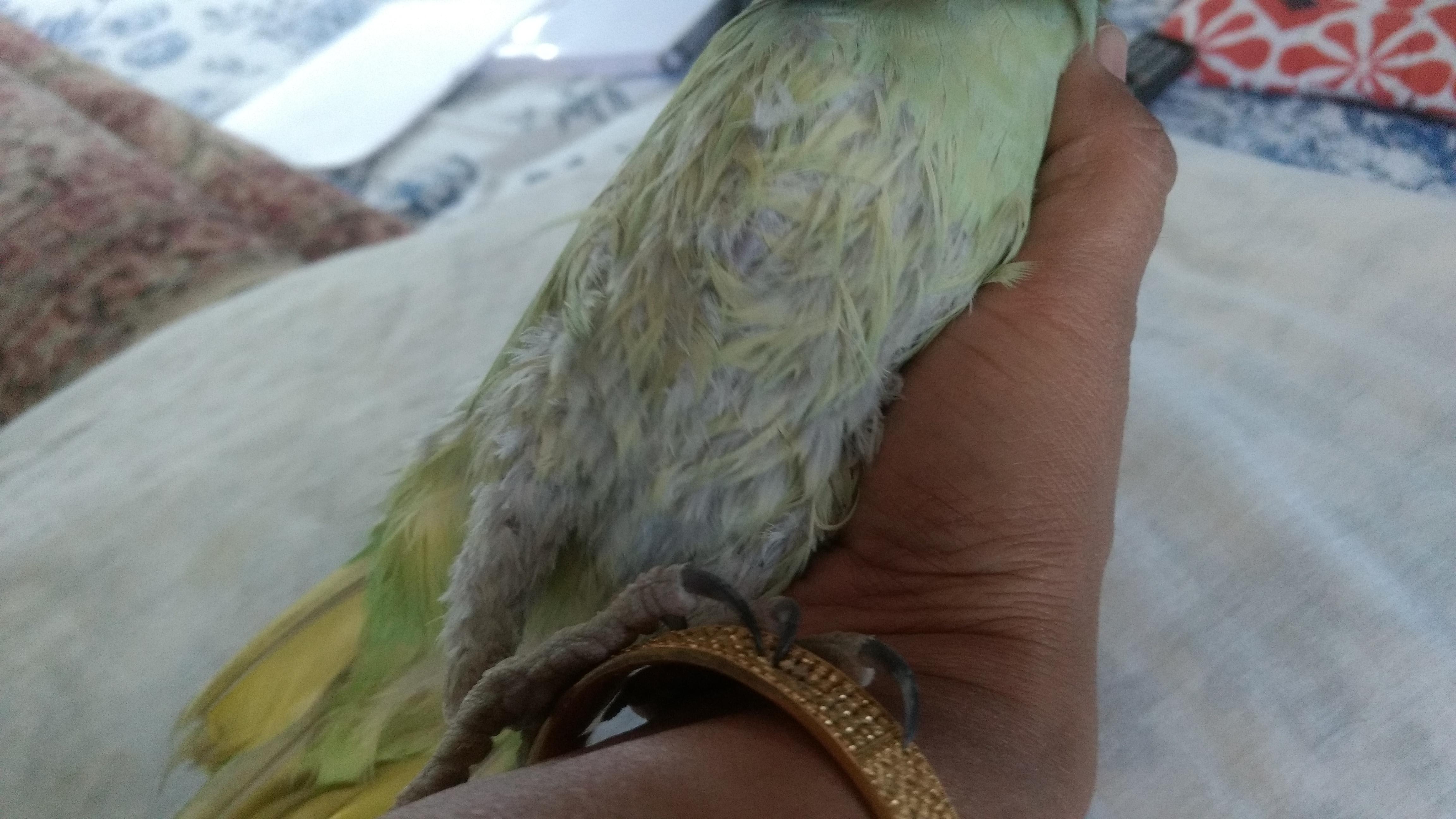 Question details sensitive content