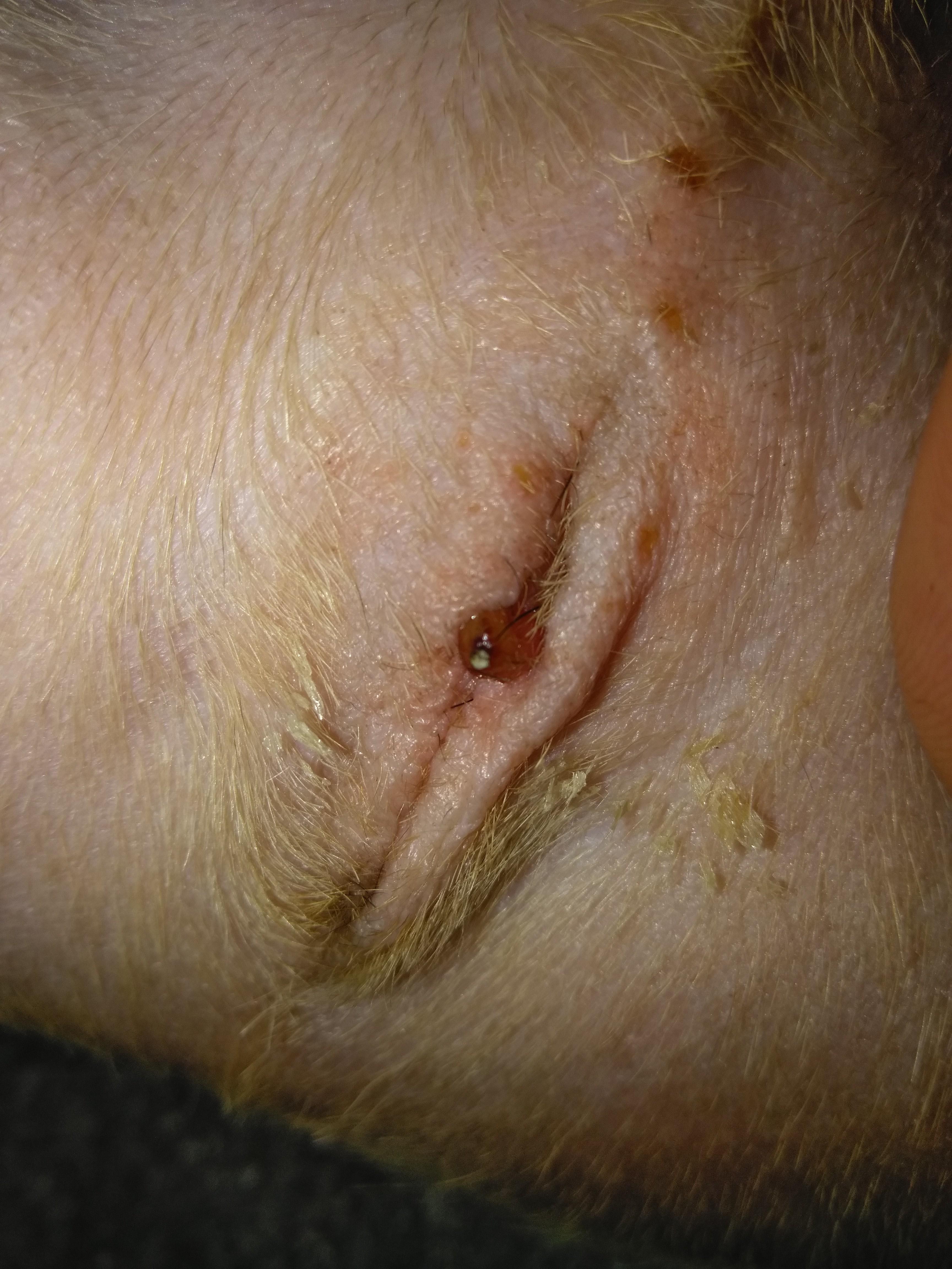 Question details sensitive content