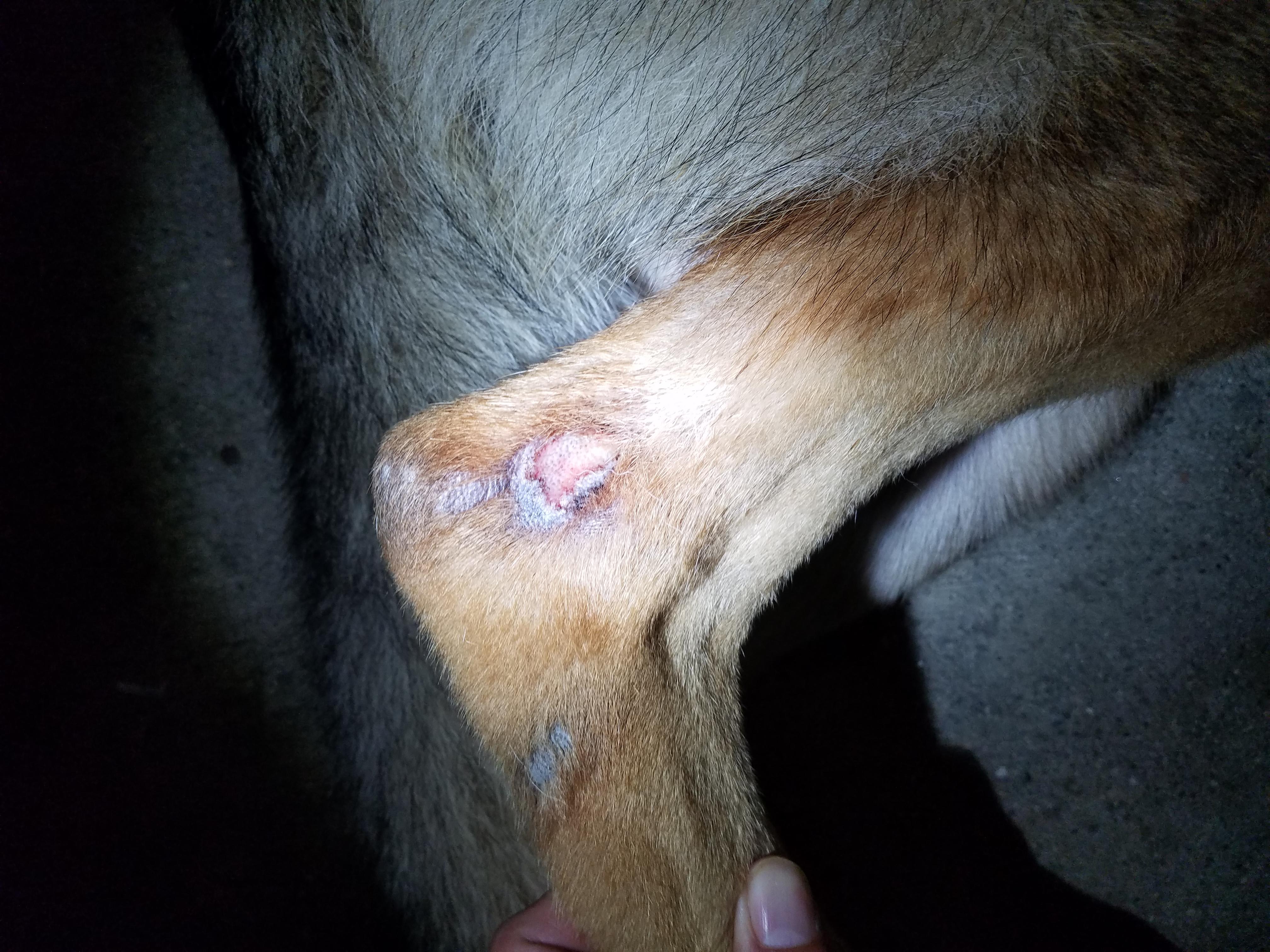 Question details sensitive content