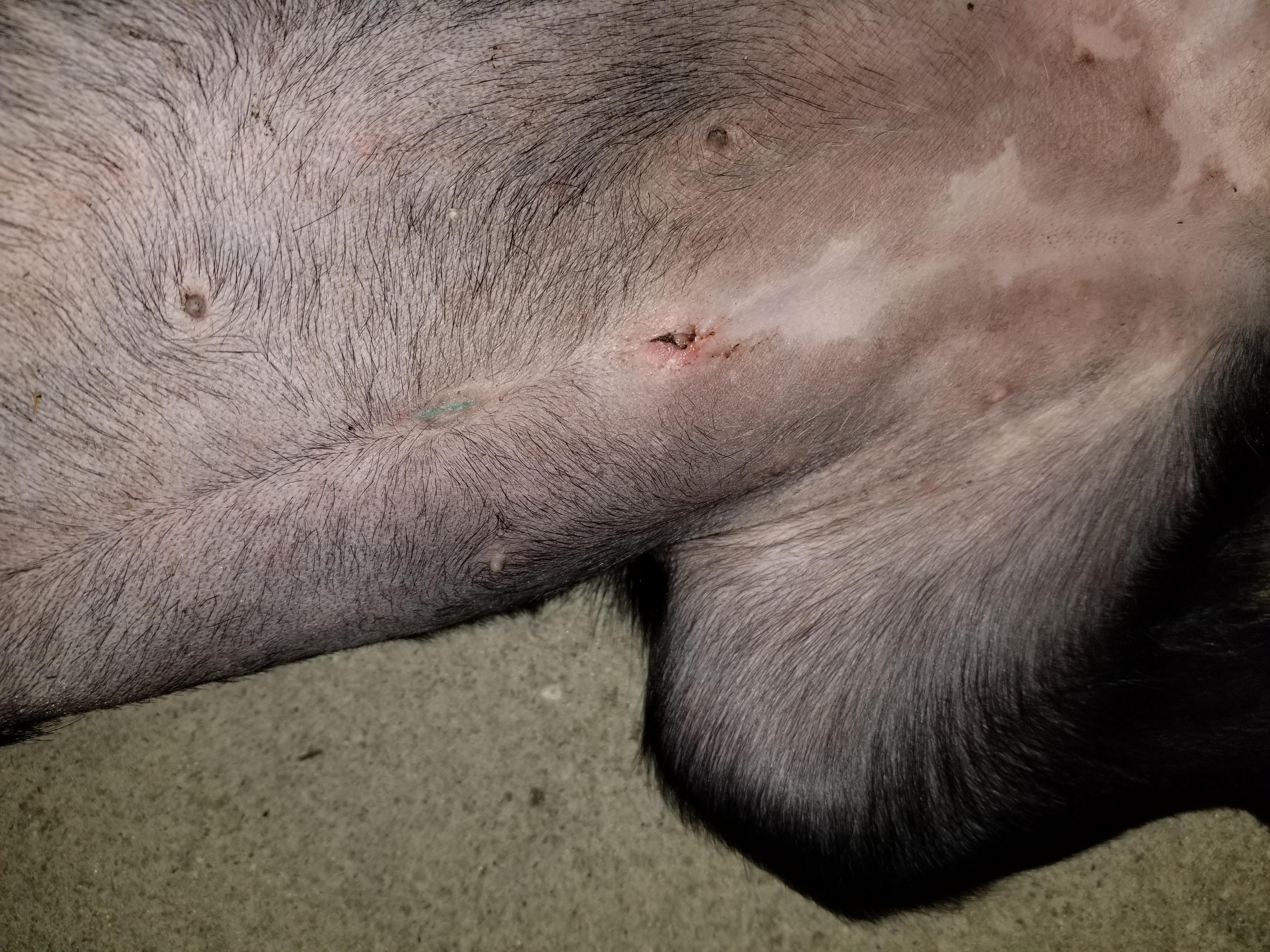 Question details sensitive content