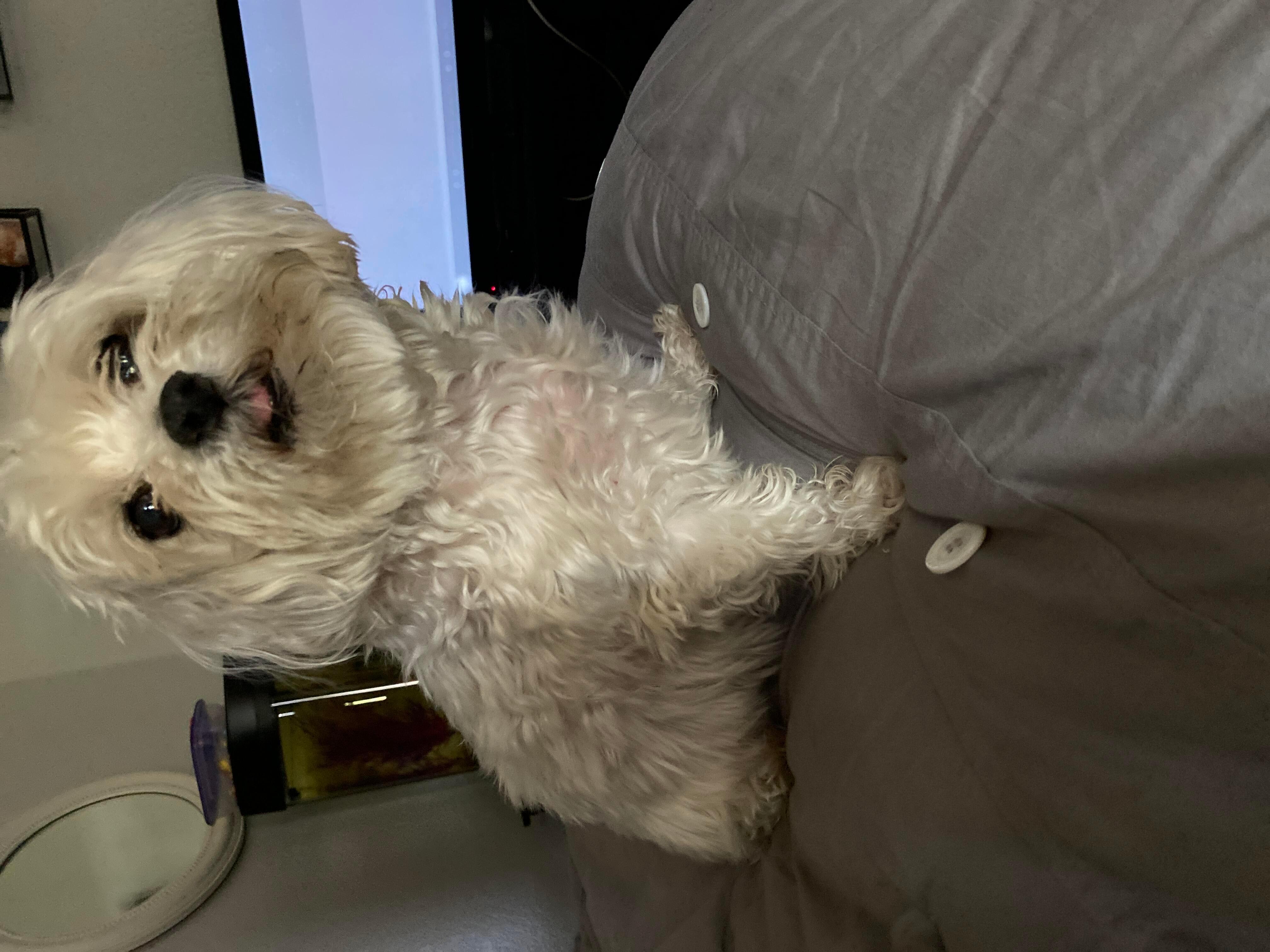 Question details sensitive content