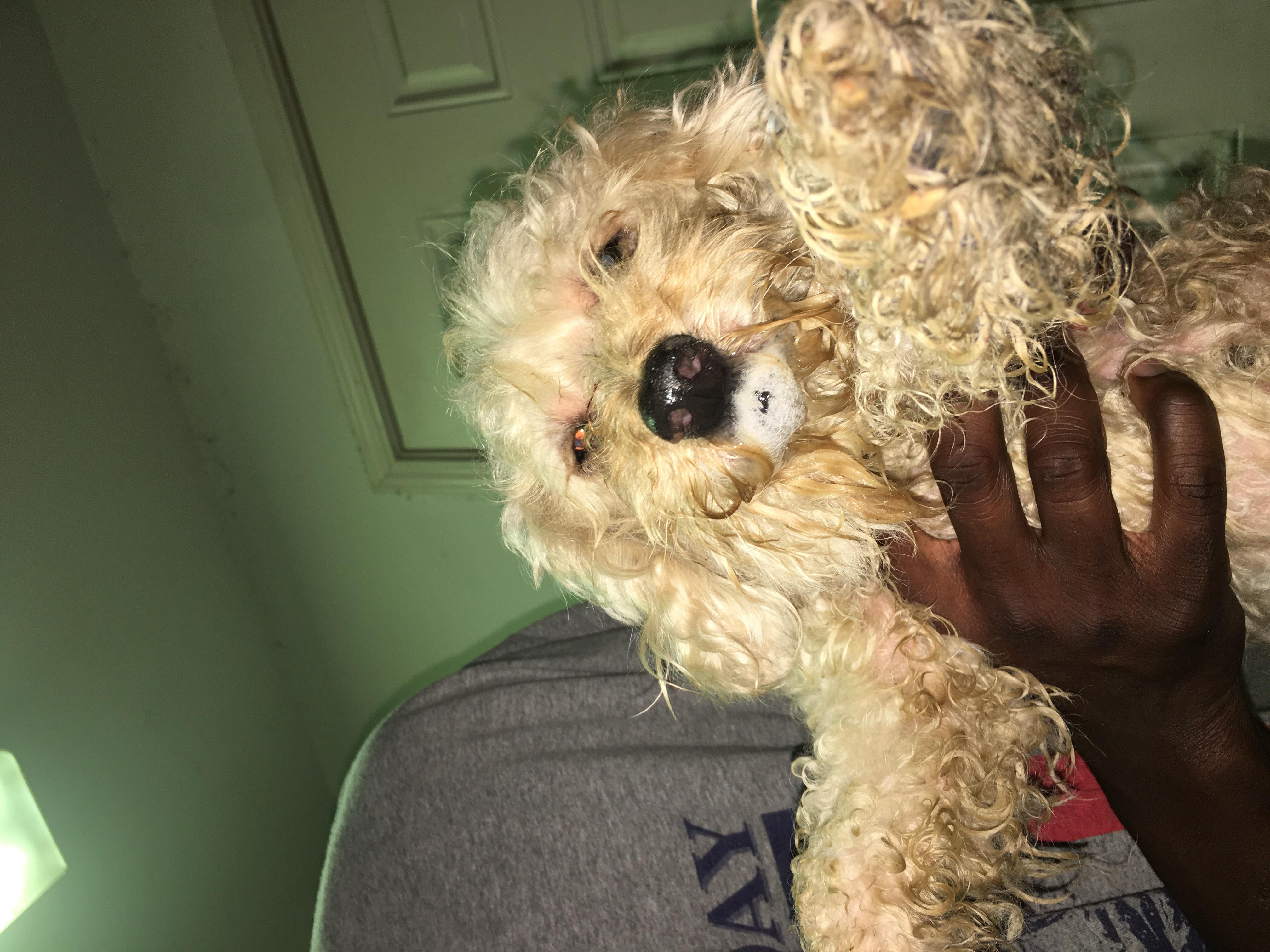 Question details sensitive content