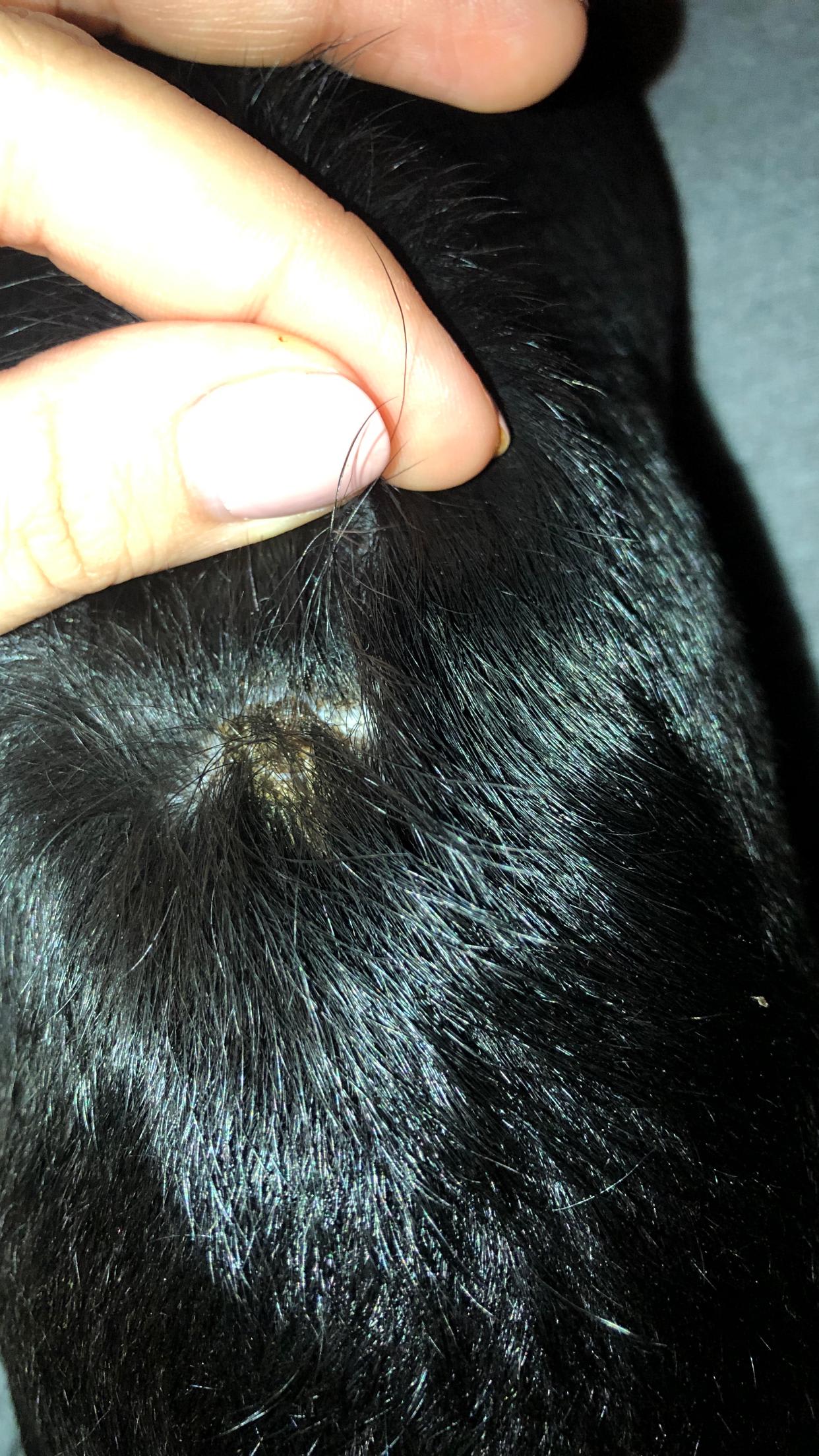 Question details sensitive content