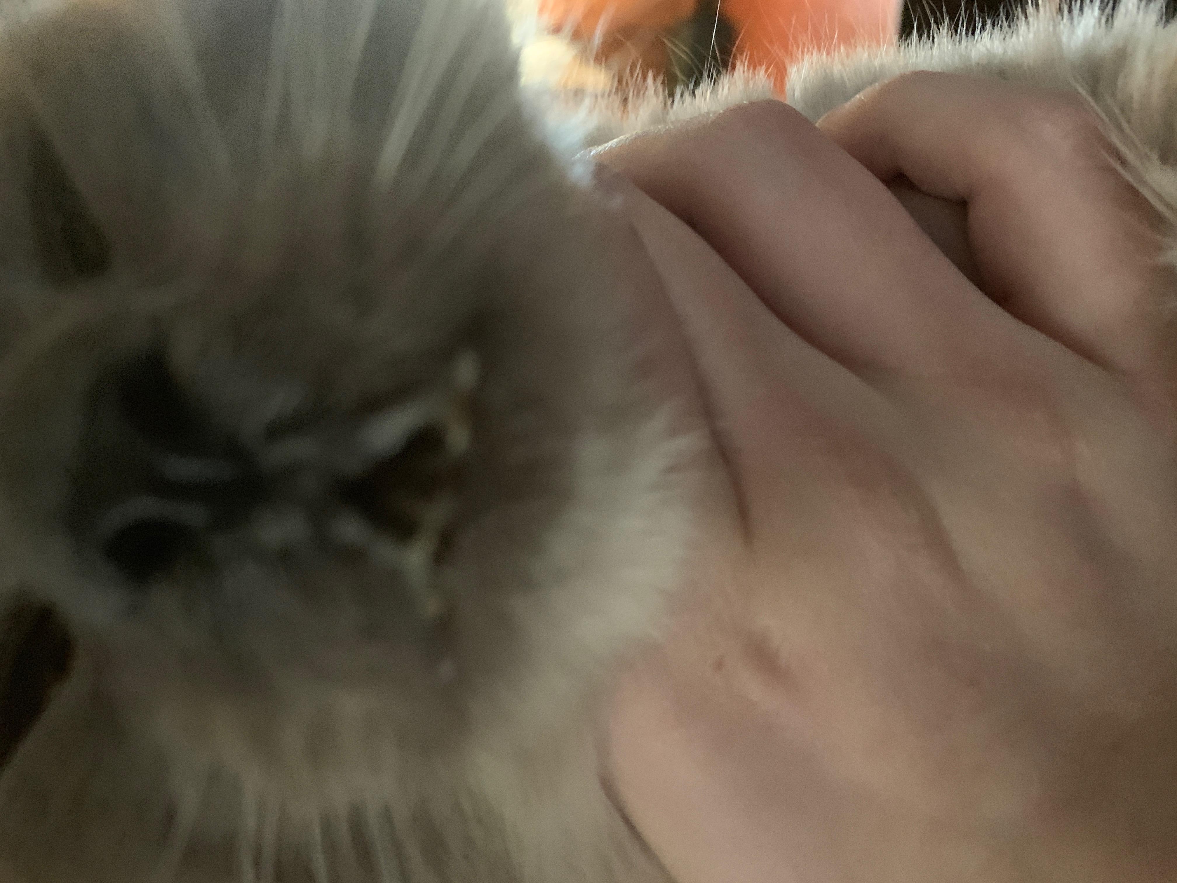 Question details sensitive content