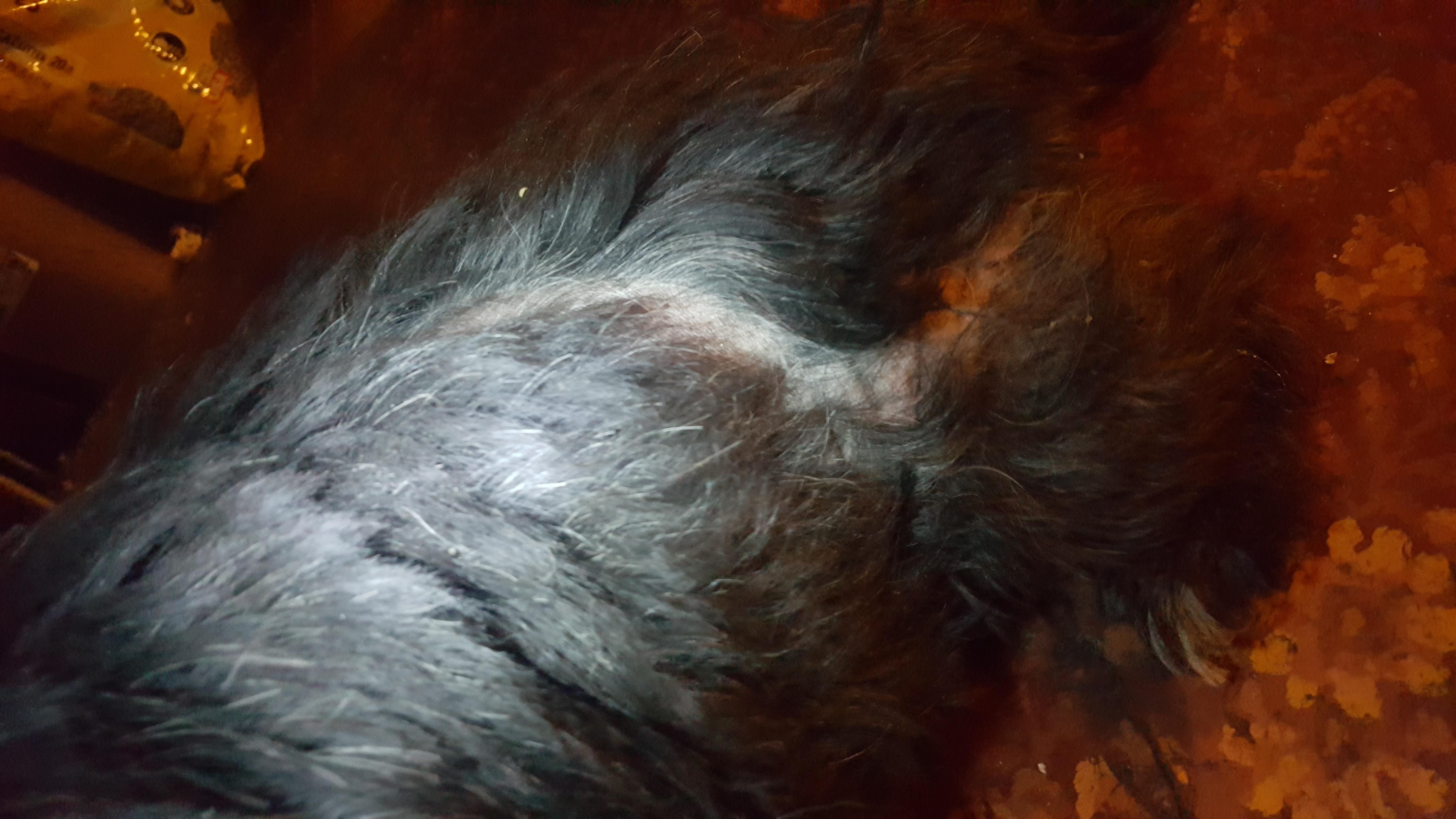 Question details sensitive content