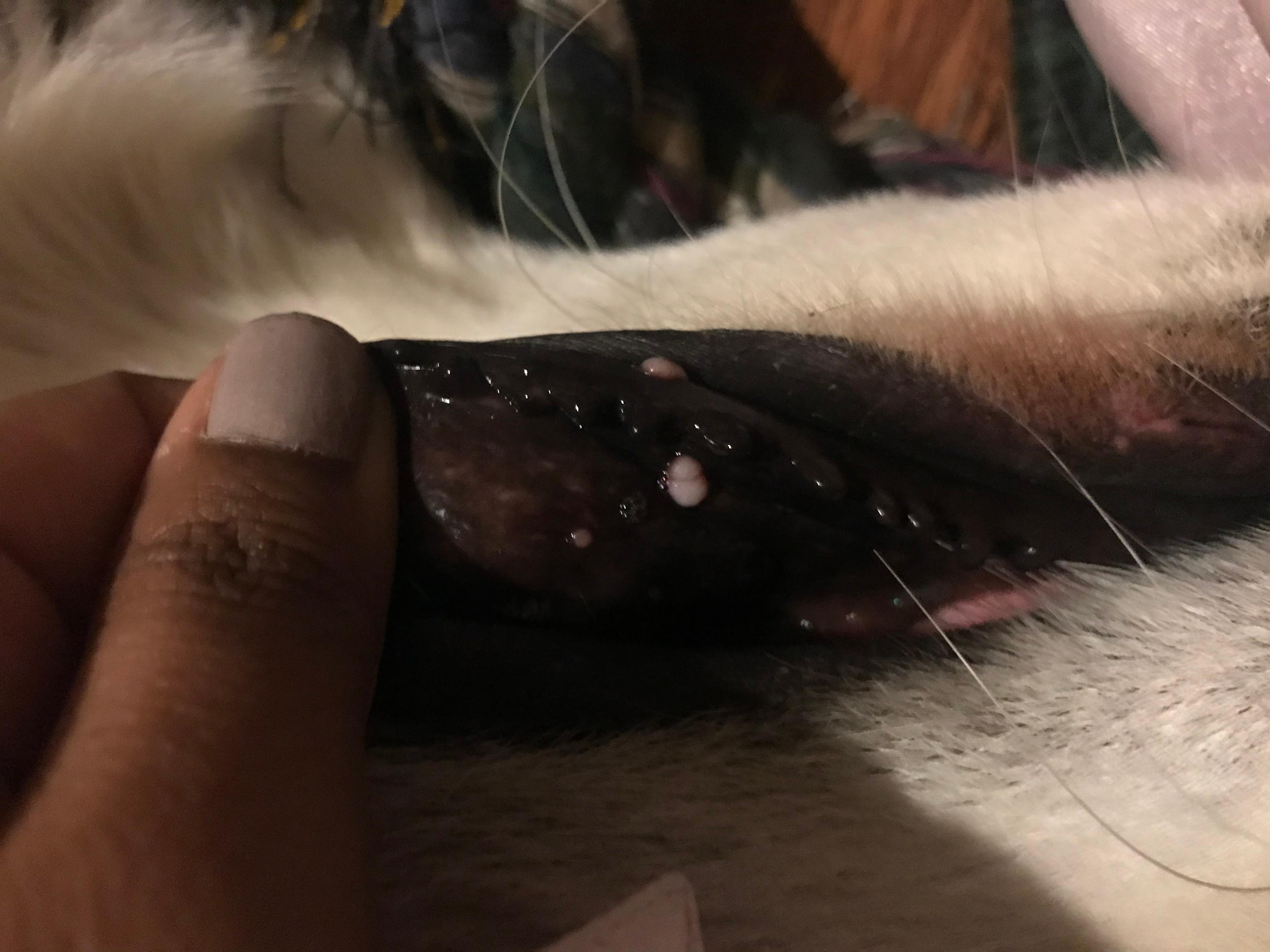 Question details sensitive content