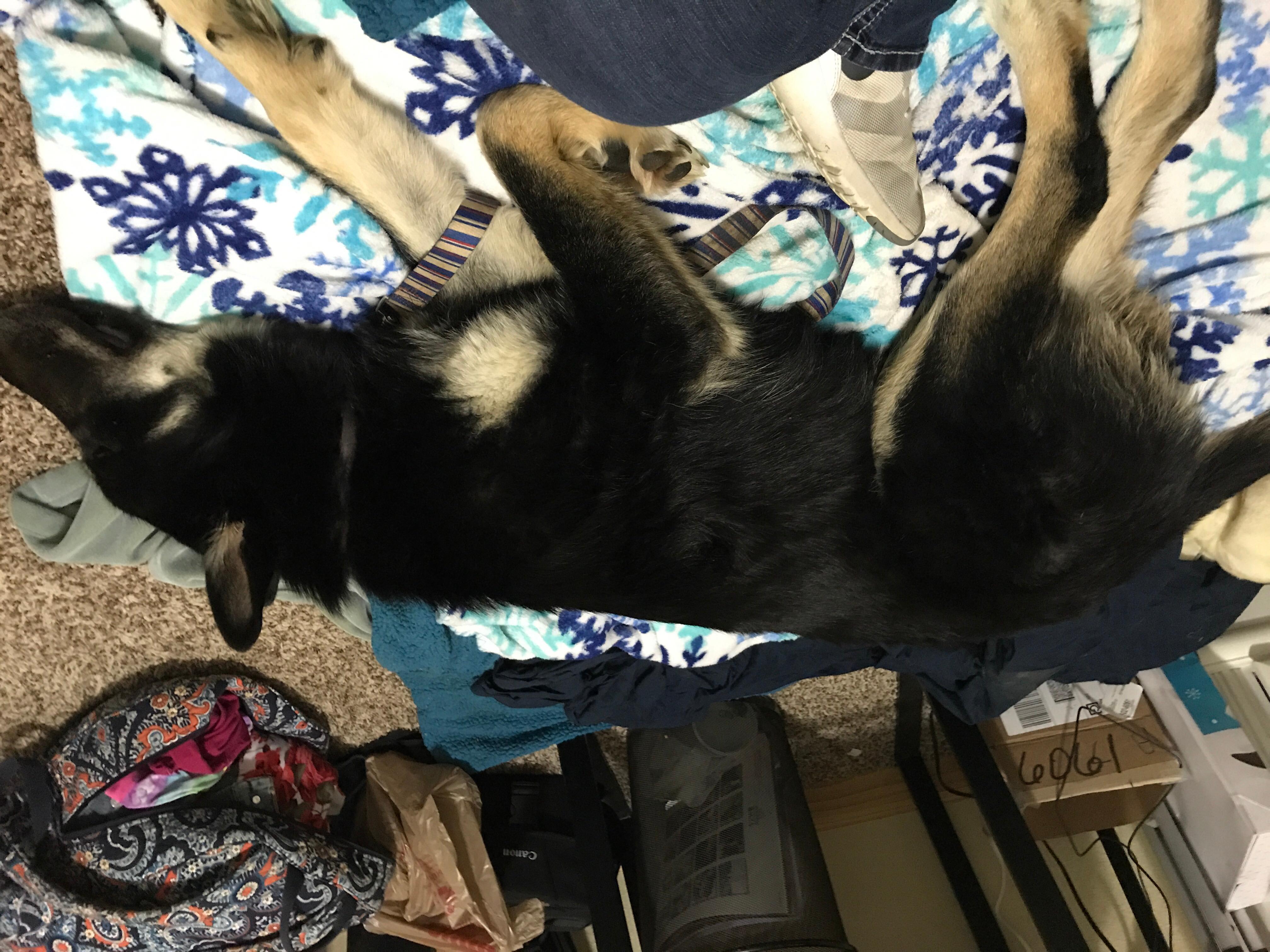 Question details sensitive content