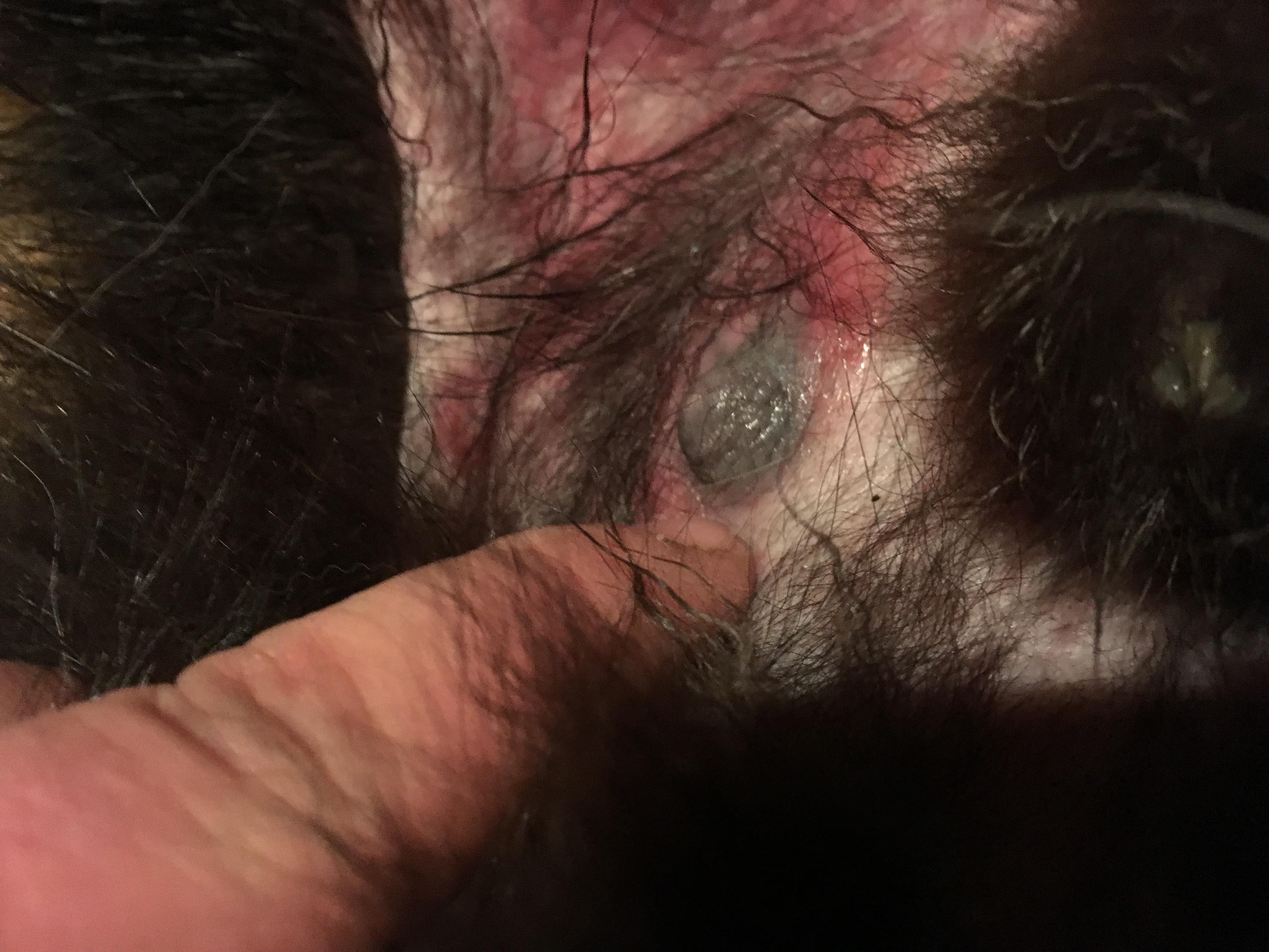 Question details sensitive content