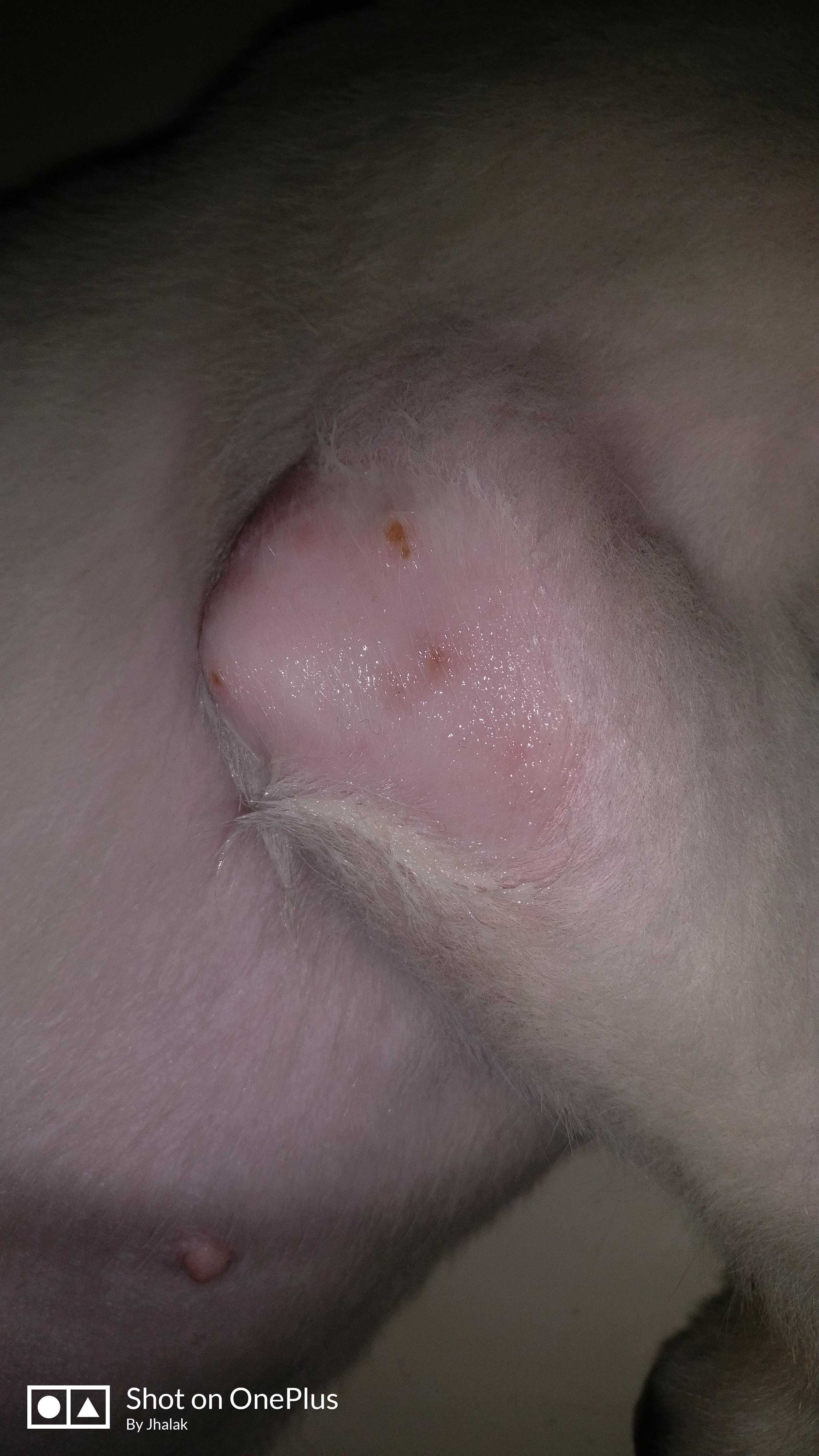 Question details sensitive content