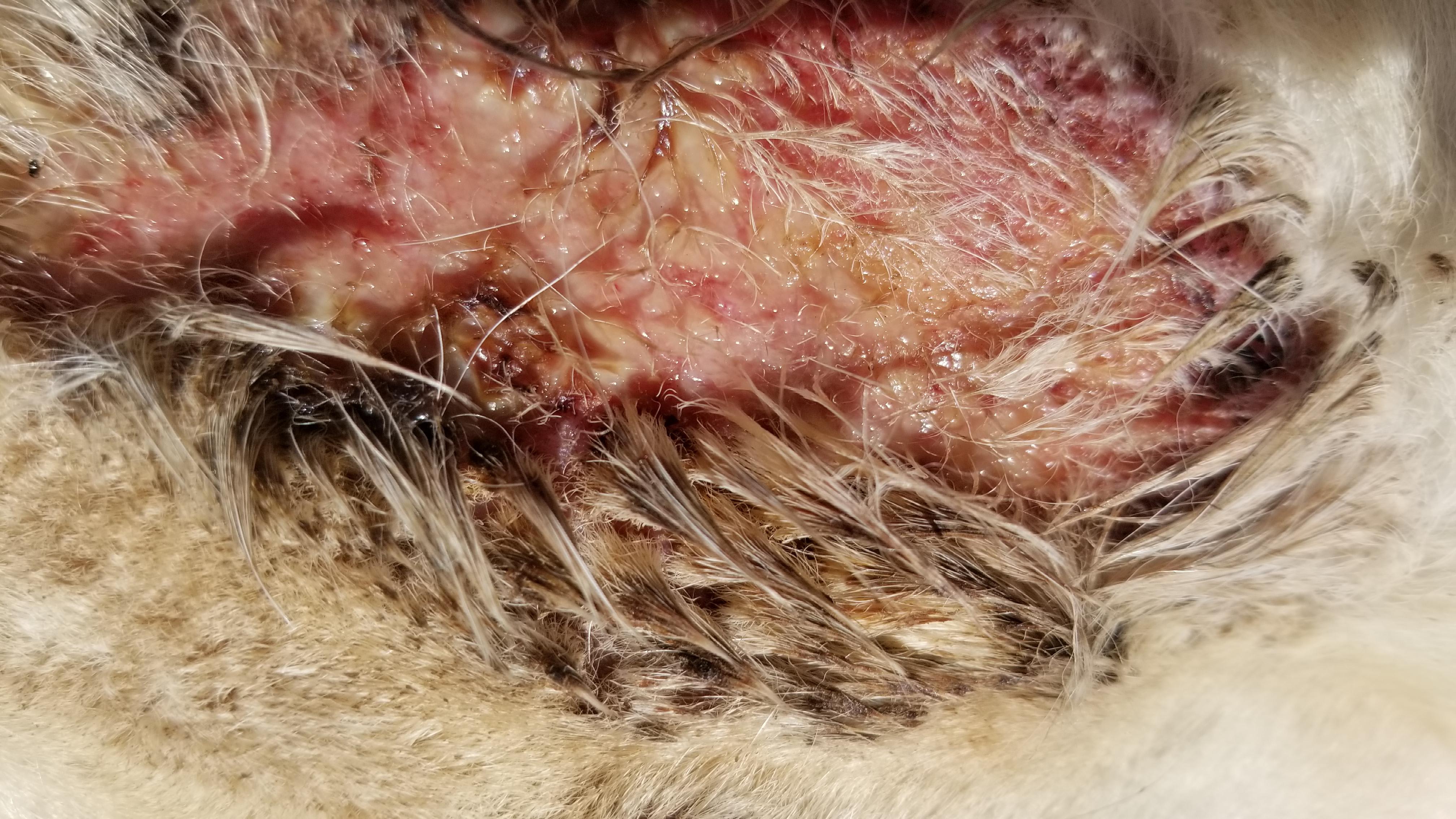 Question details sensitive content