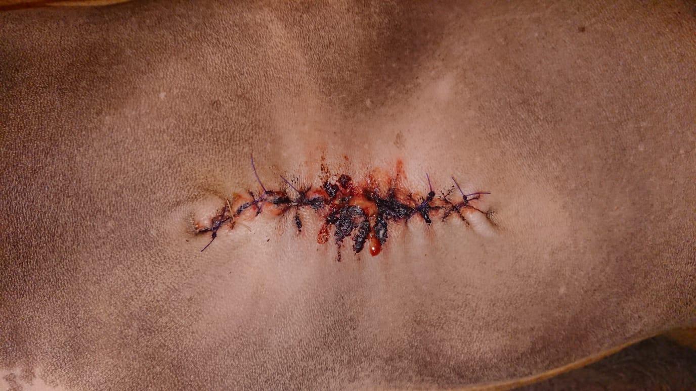 Question details sensitive content