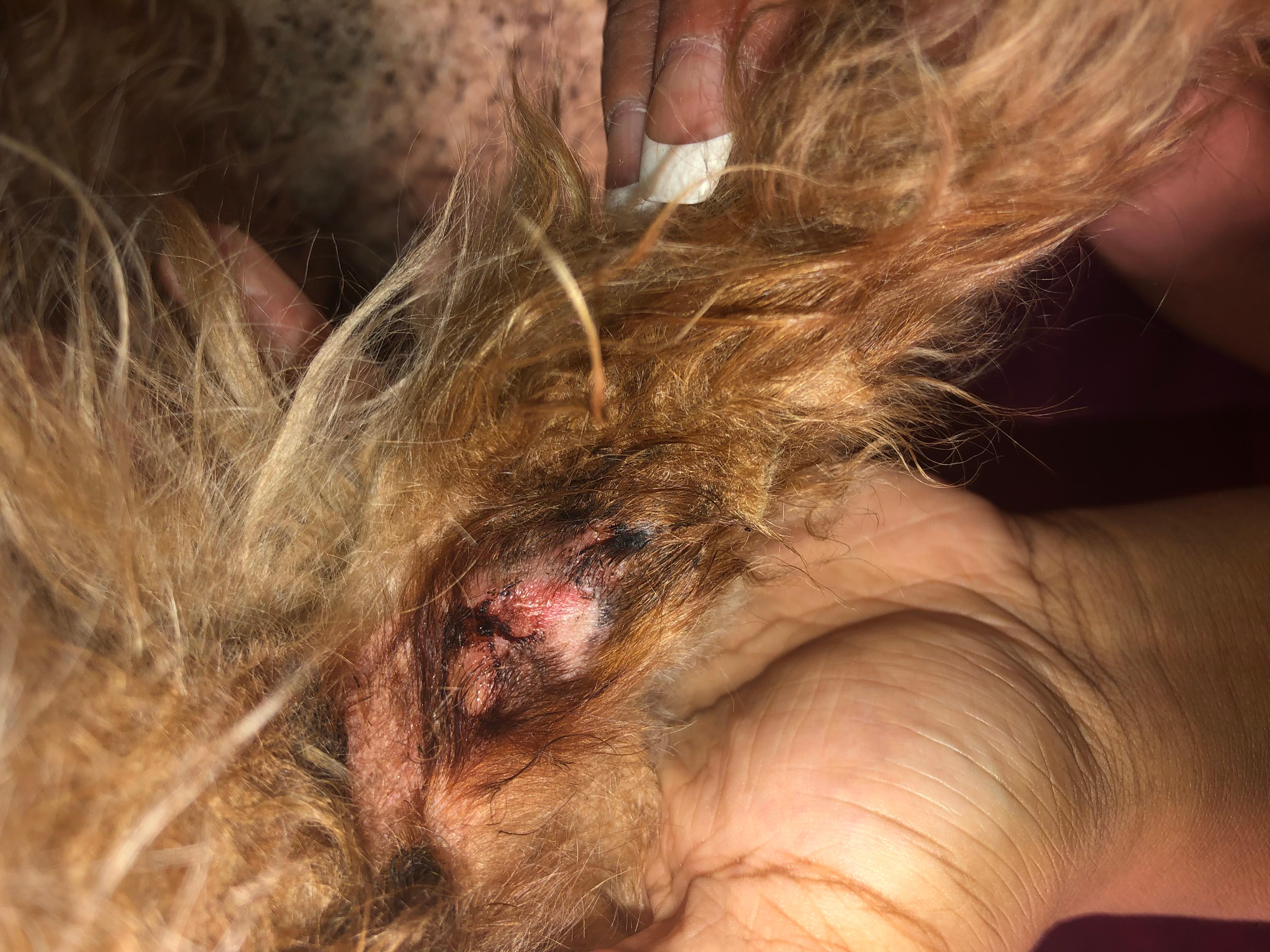 Question details sensitive content