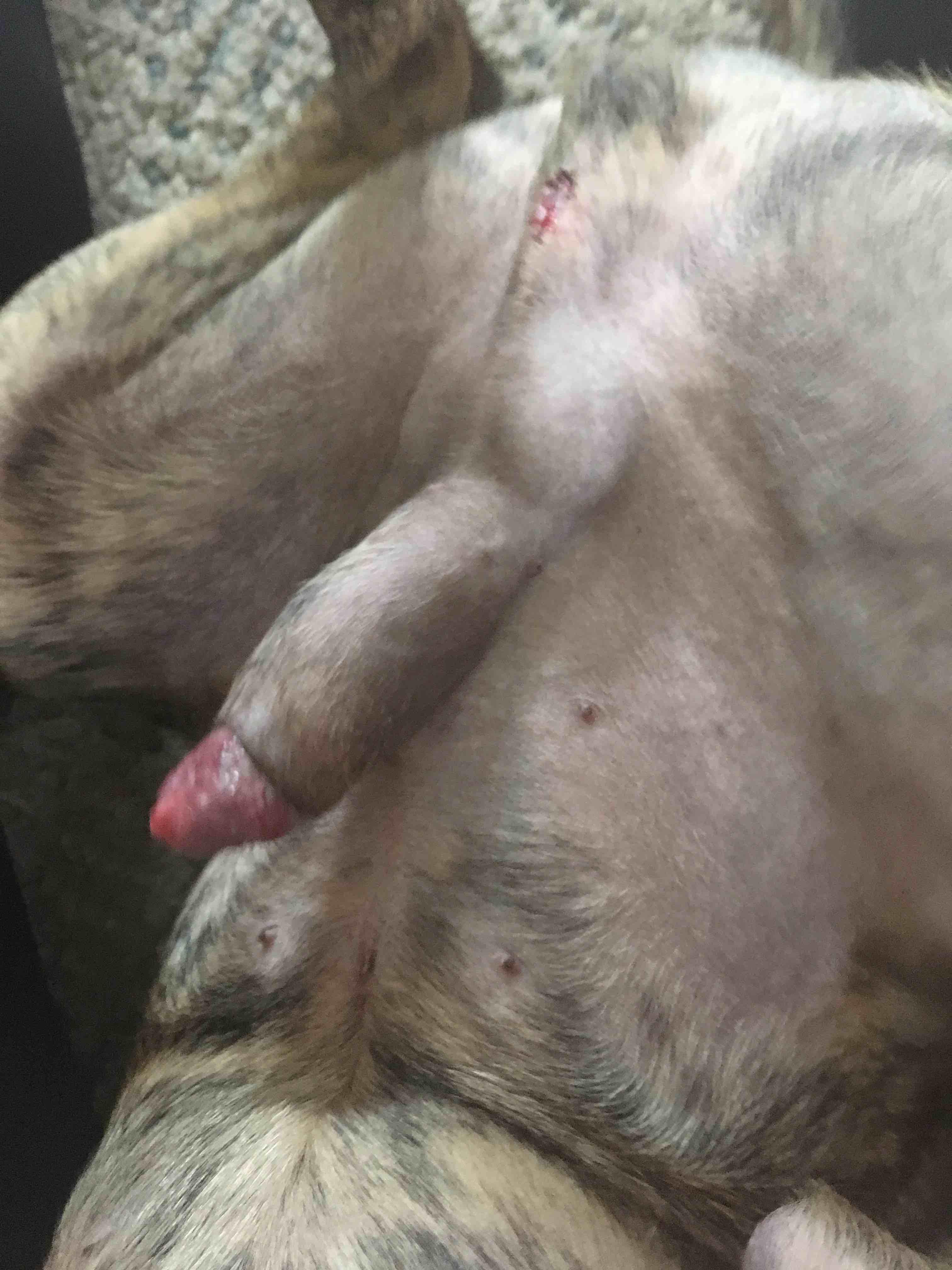 Question details sensitive content