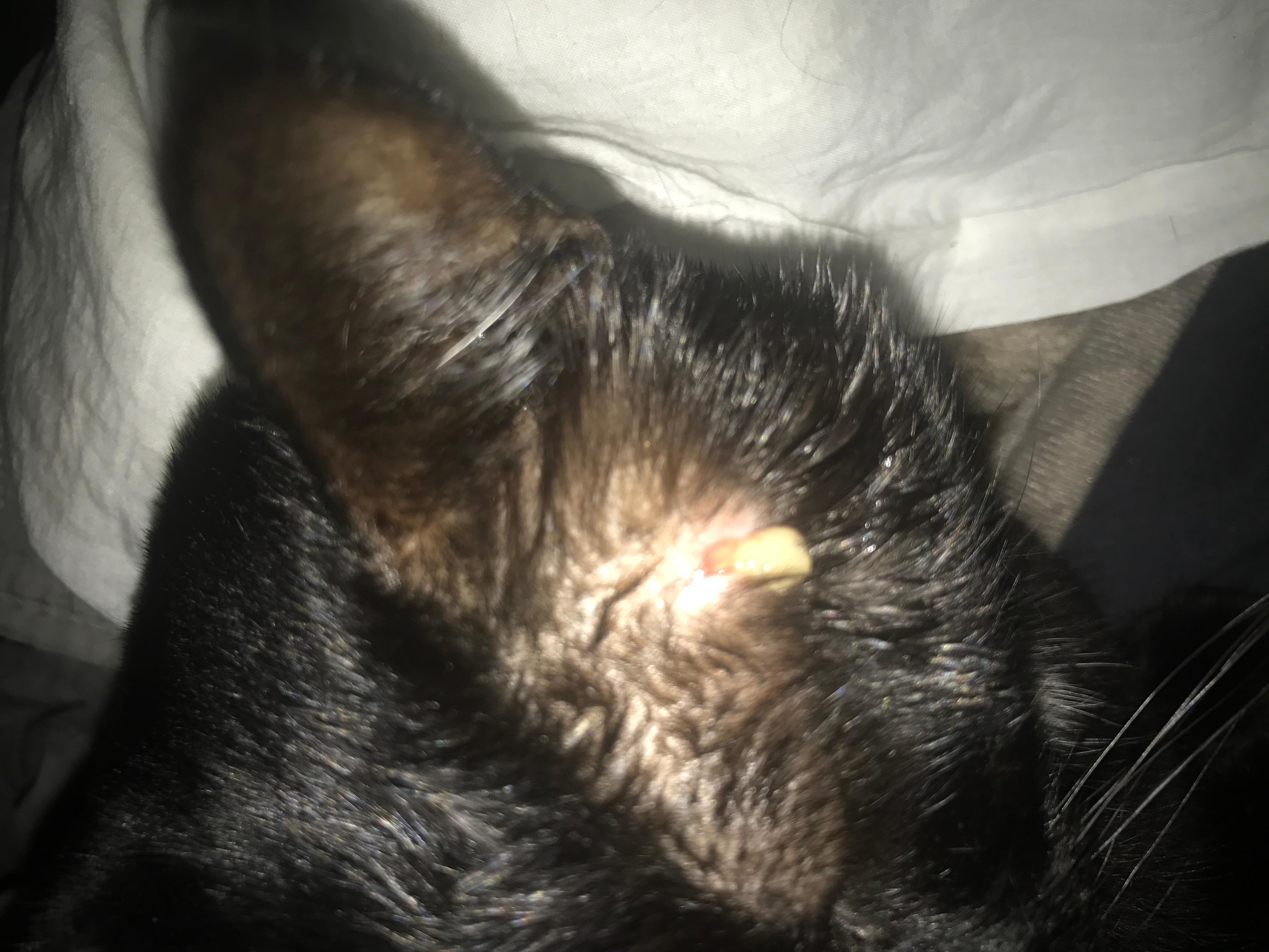 Question details sensitive content