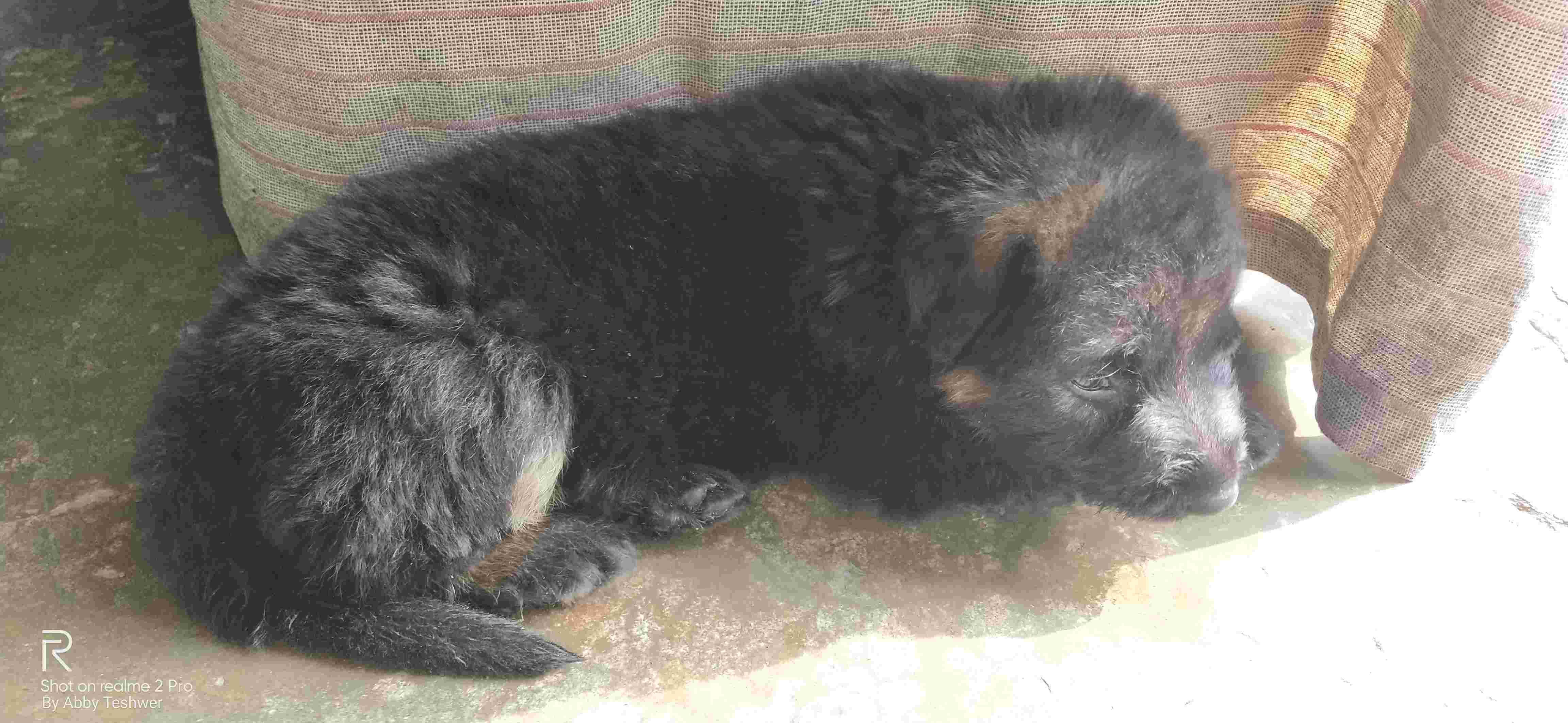 Question details sensitive content