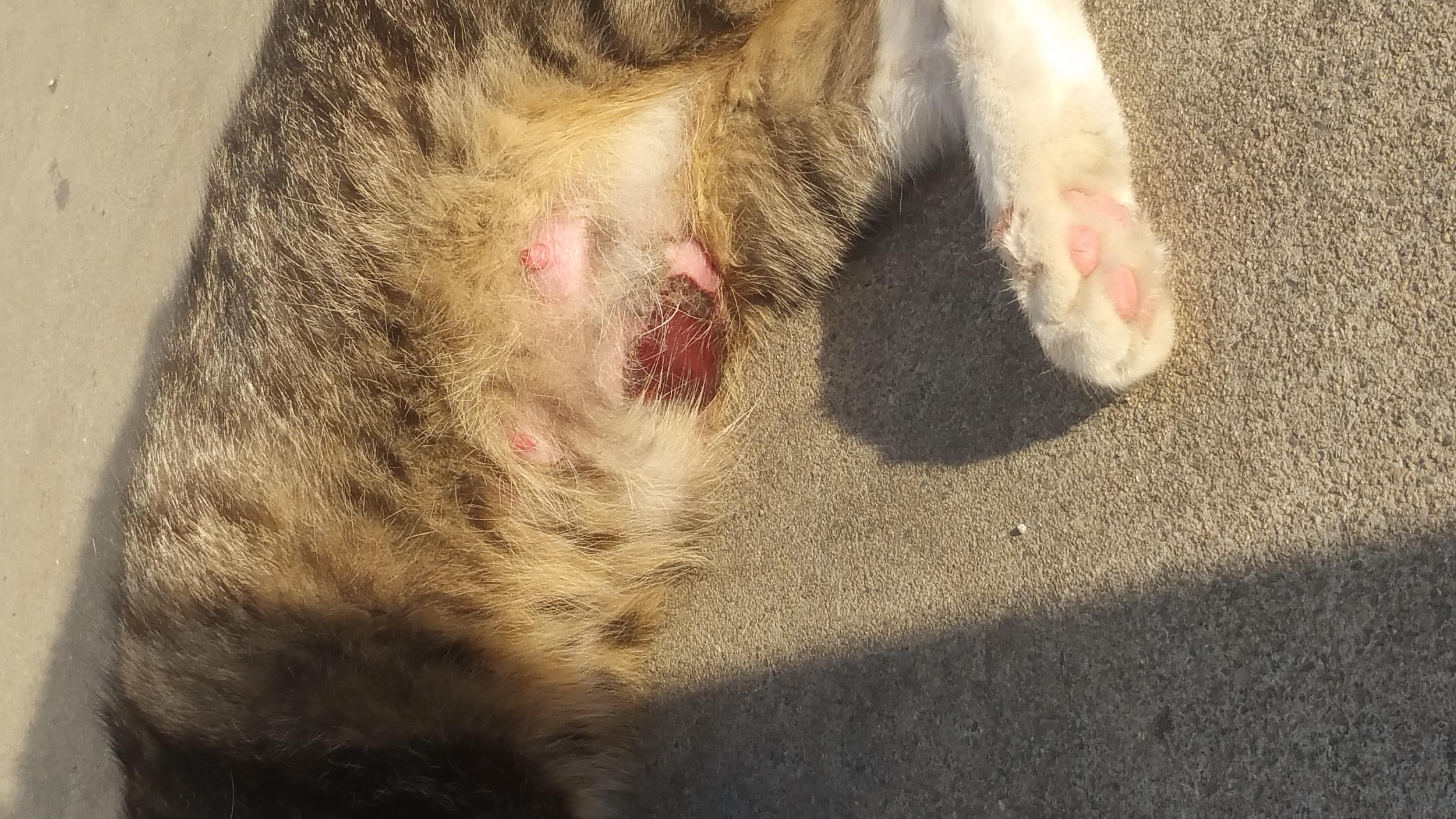 Question details sensitive content