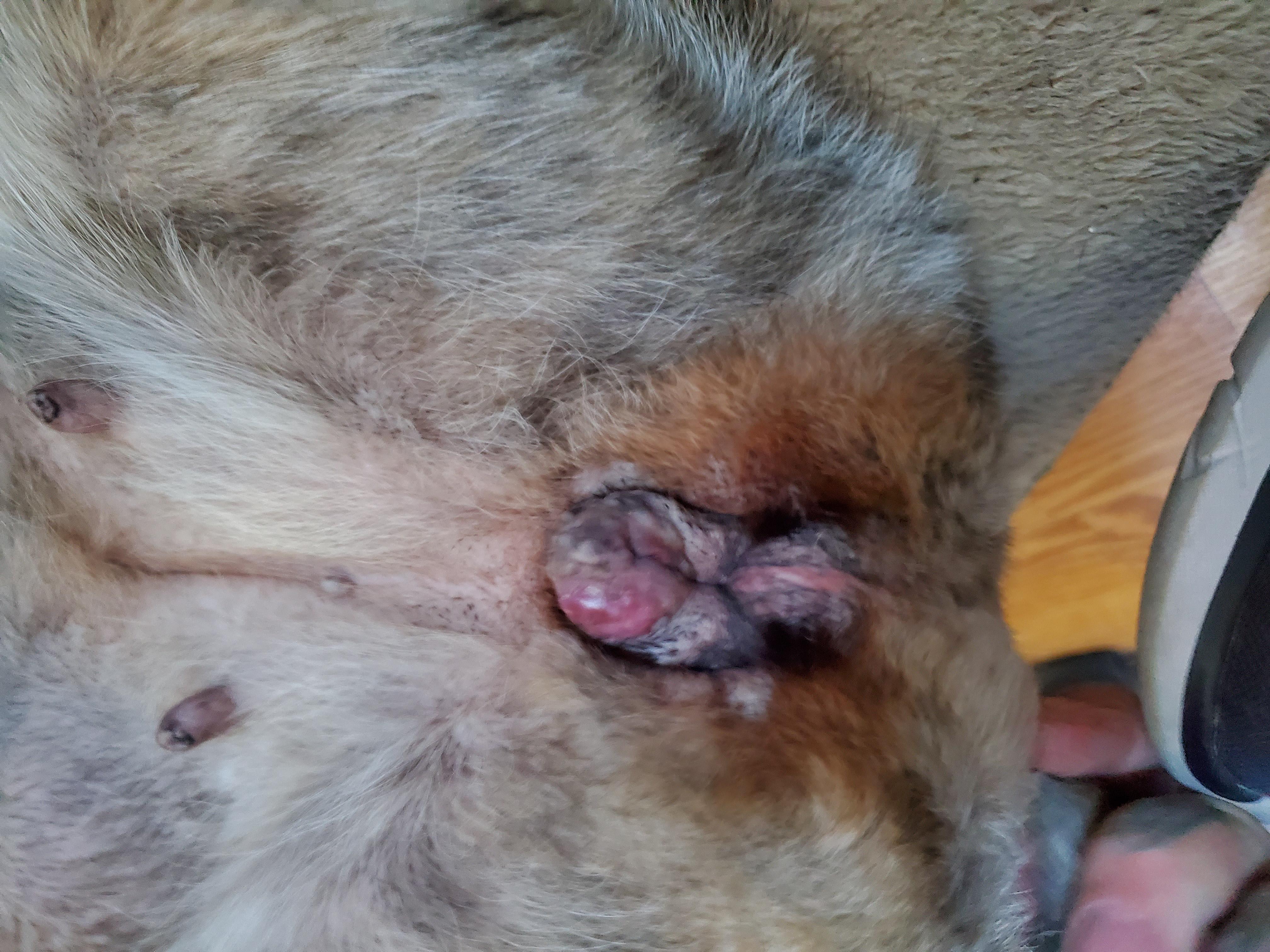 Question details sensitive content