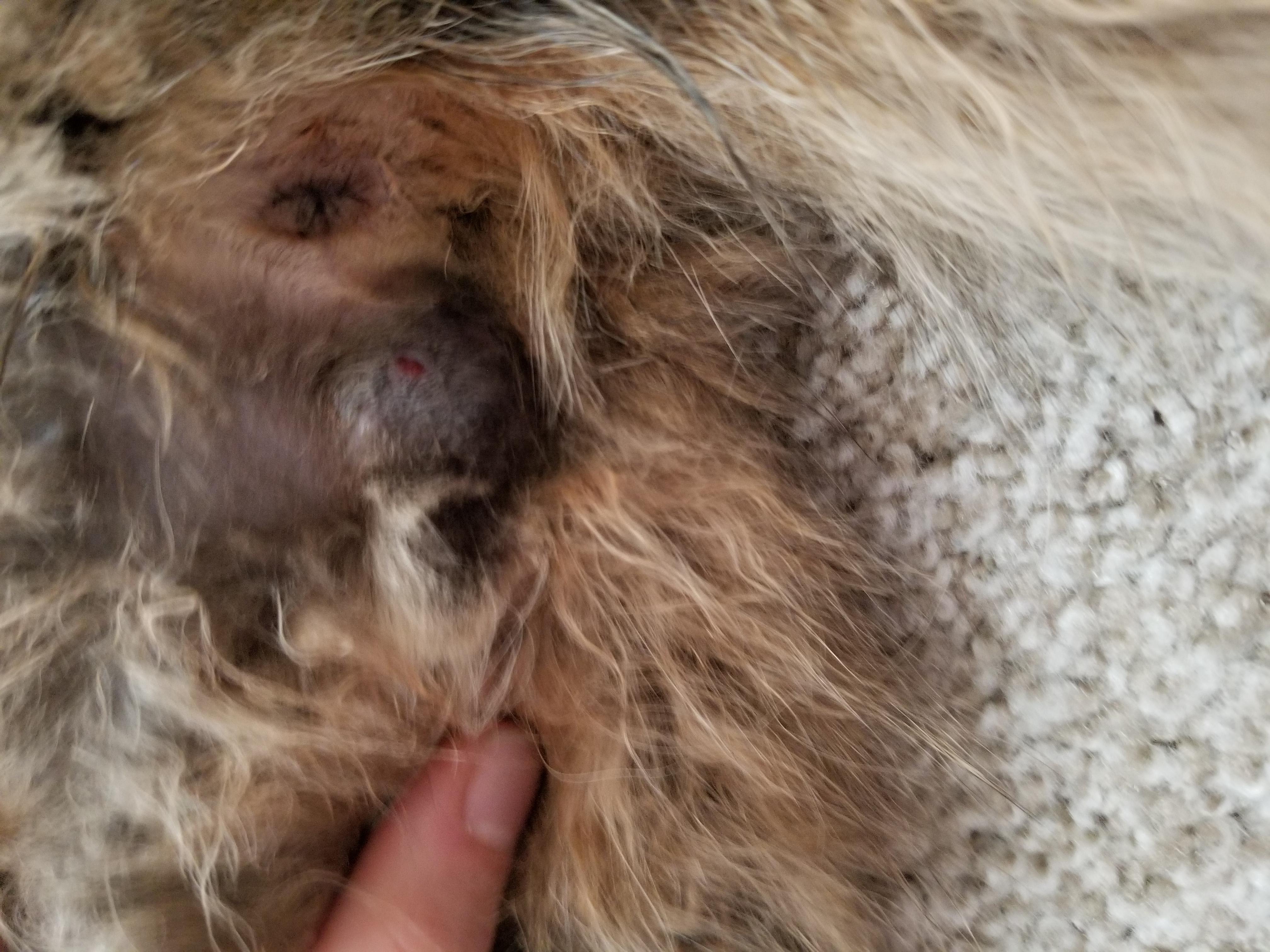 Question details sensitive content