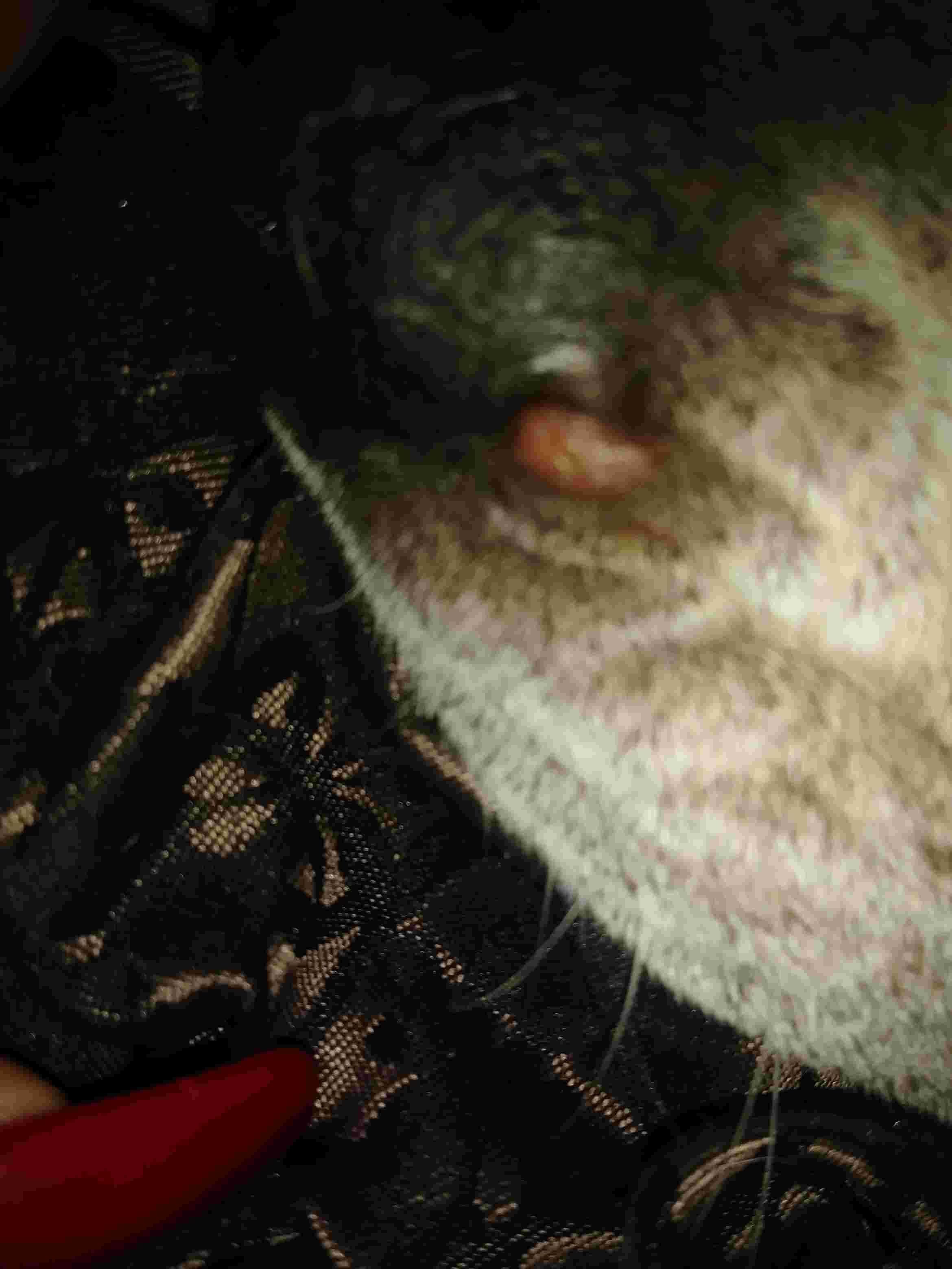 Question details sensitive content