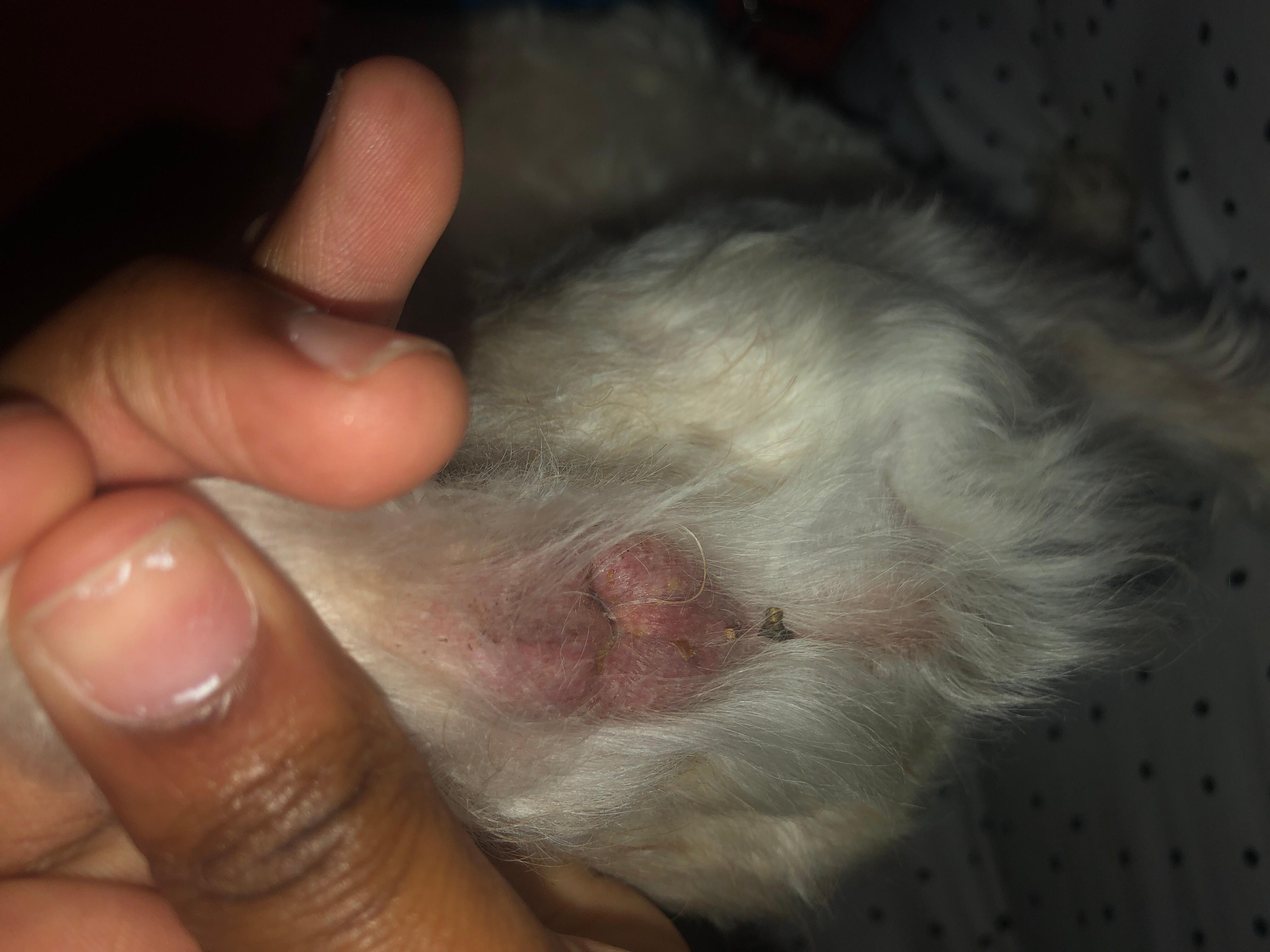 Question details sensitive content