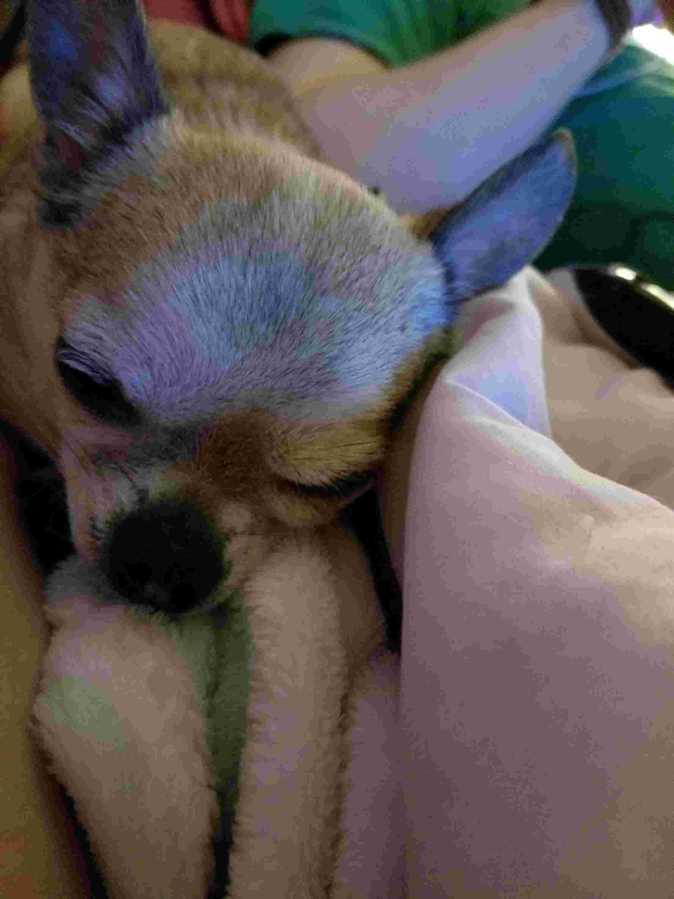 Question details sensitive content