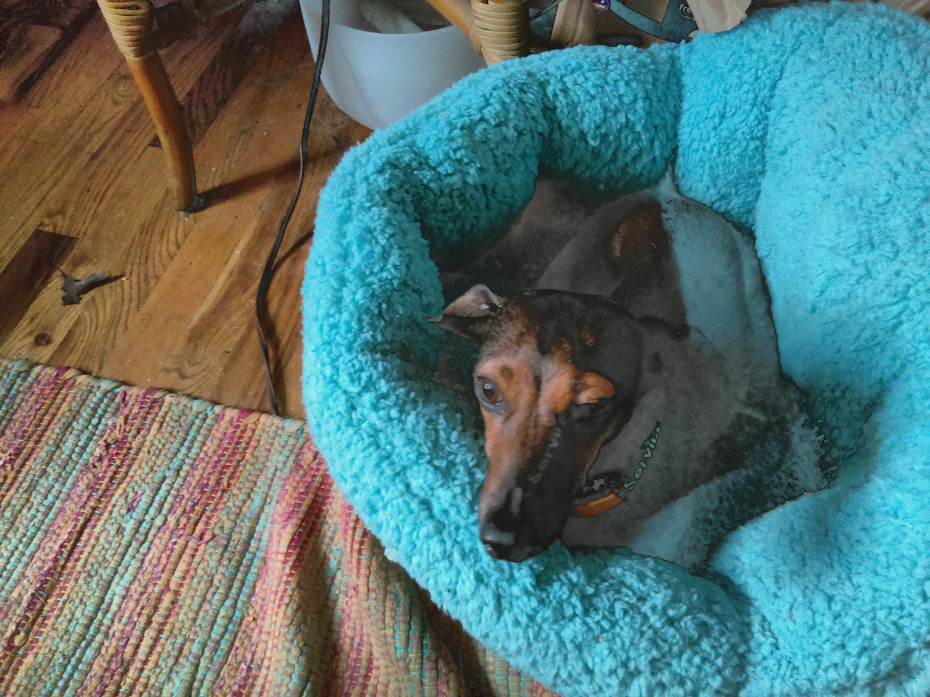 Question details sensitive content