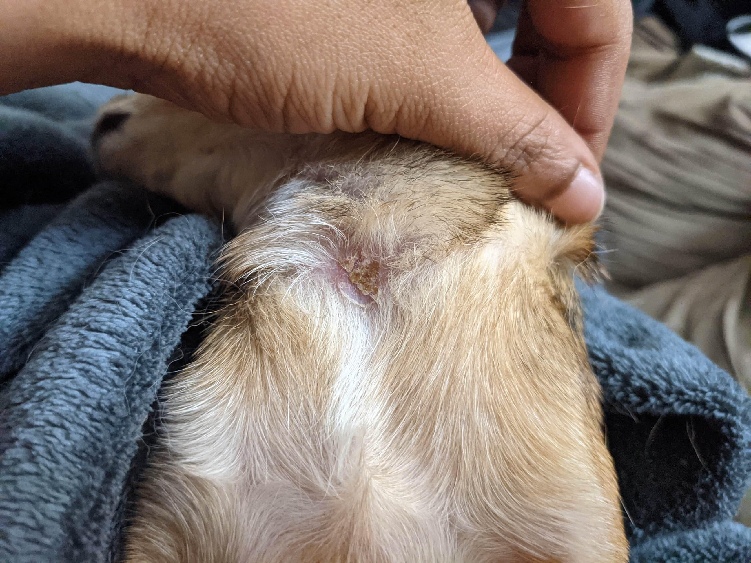 Question details sensitive content