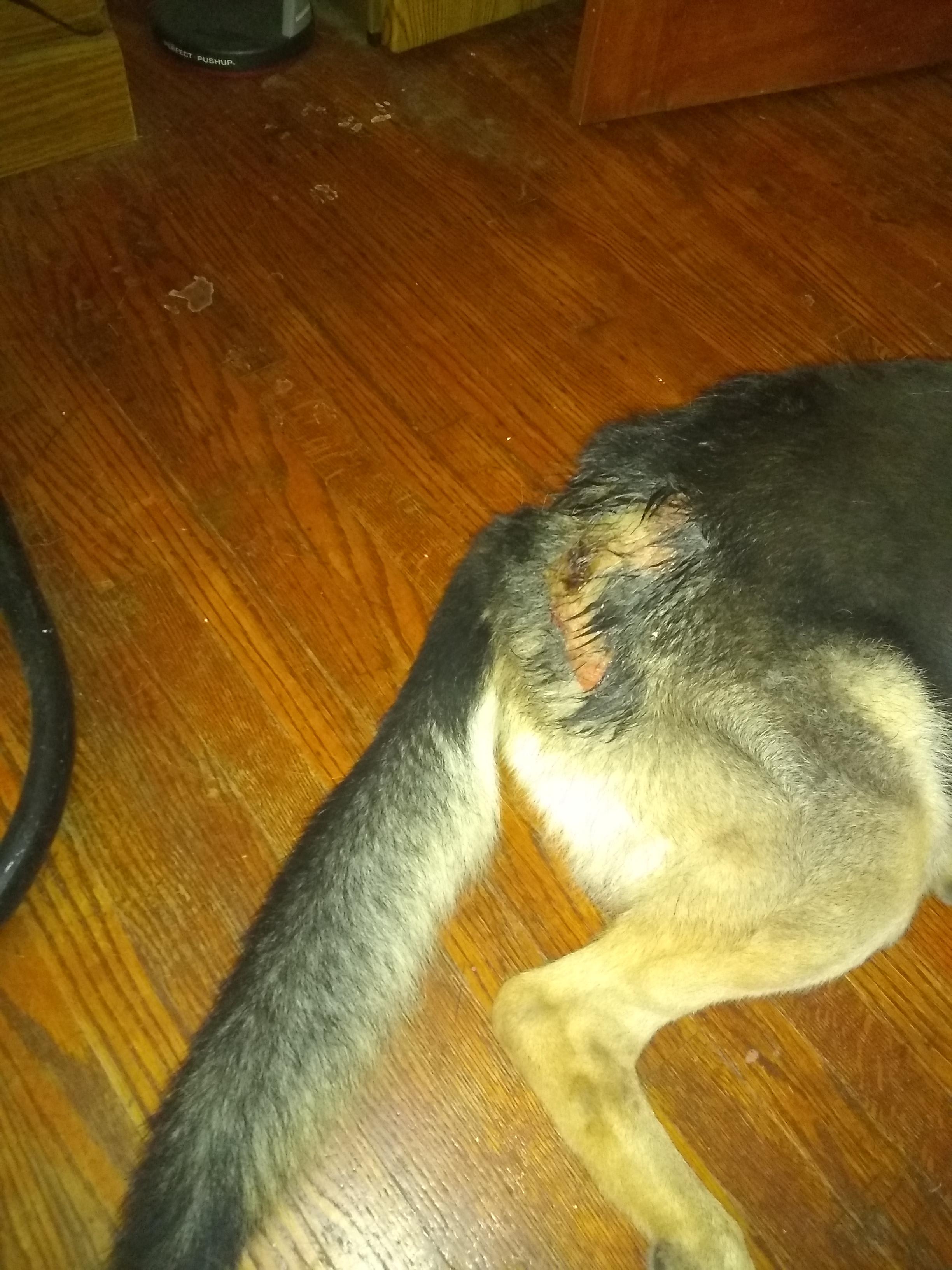 Question details sensitive content