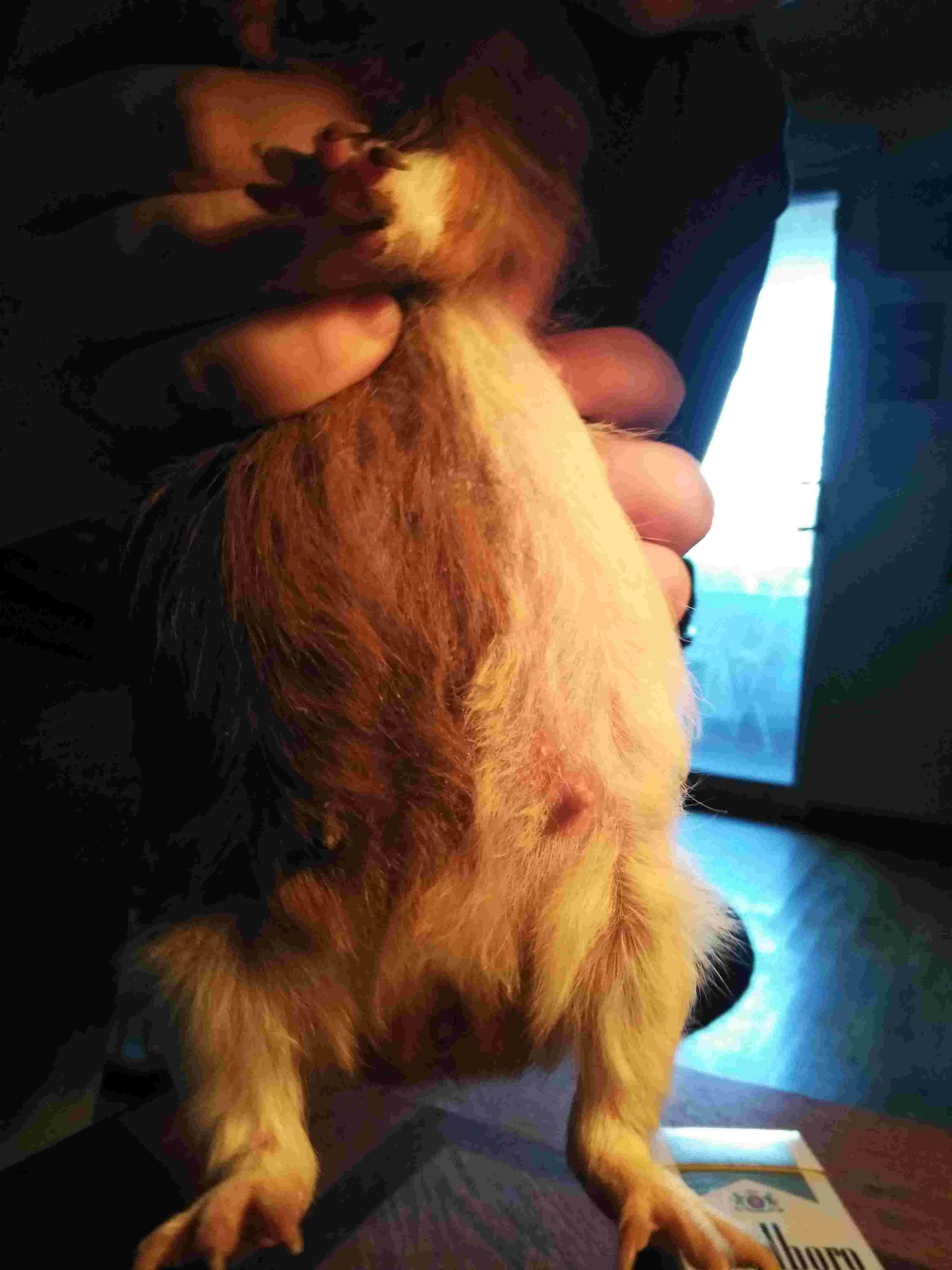 Question details sensitive content