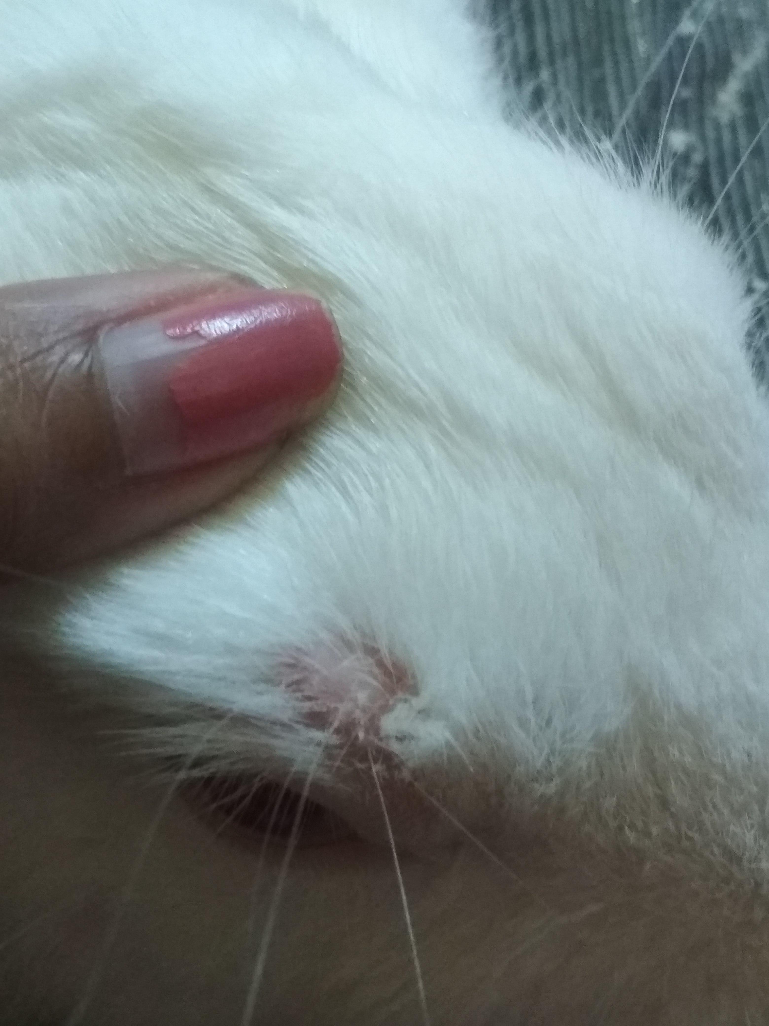 Question details sensitive content