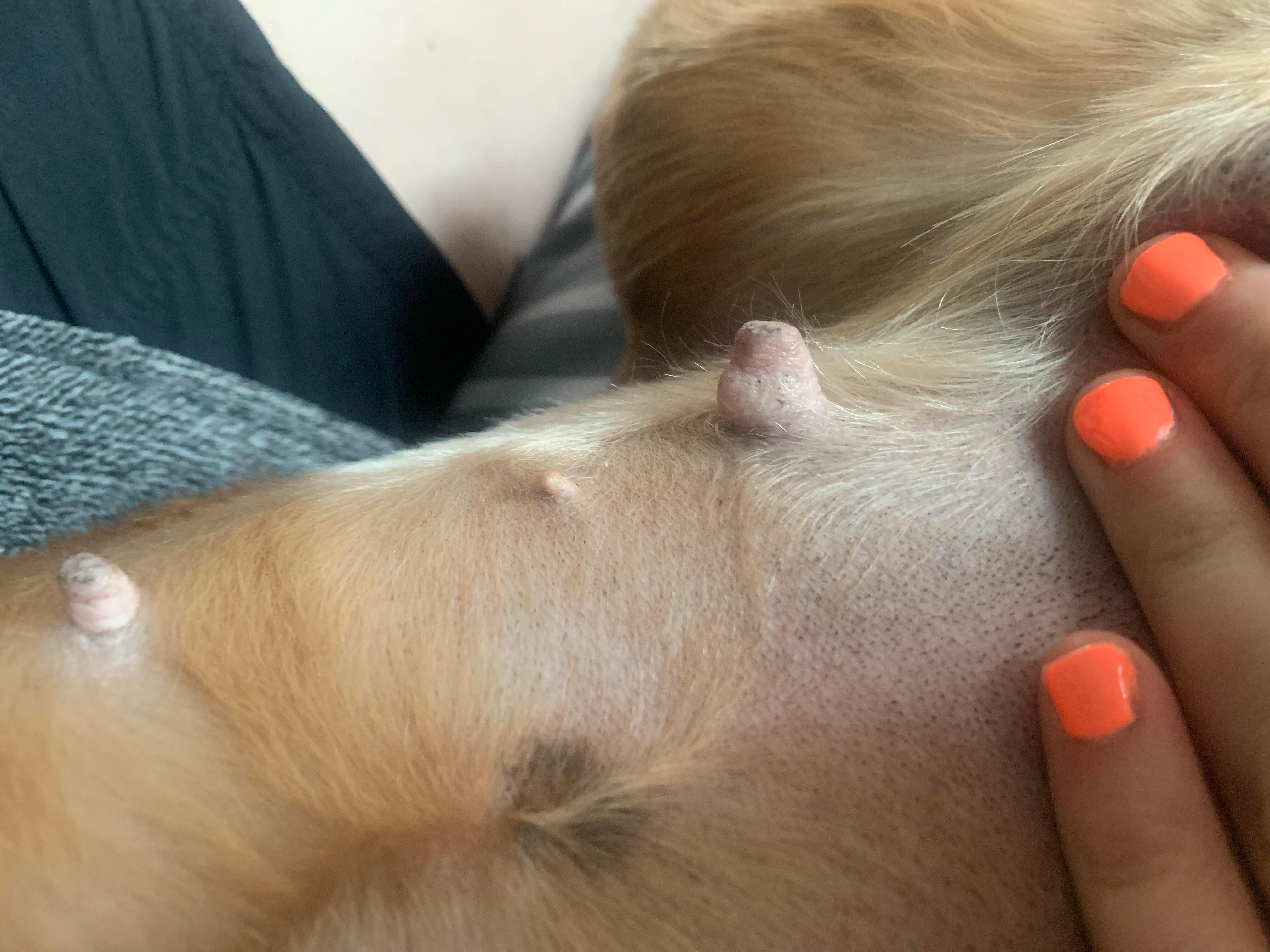 Question details sensitive content