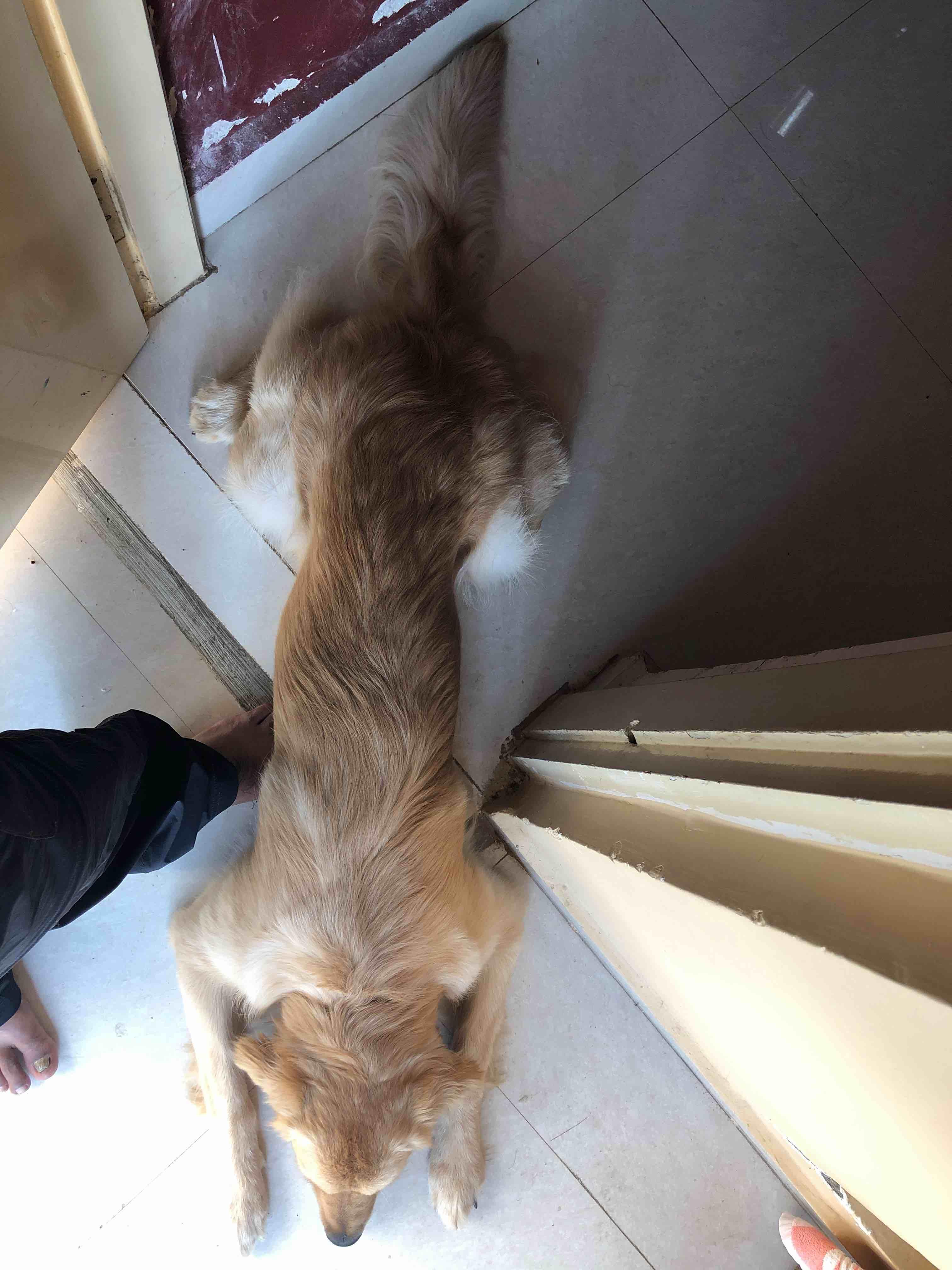 Question details sensitive content