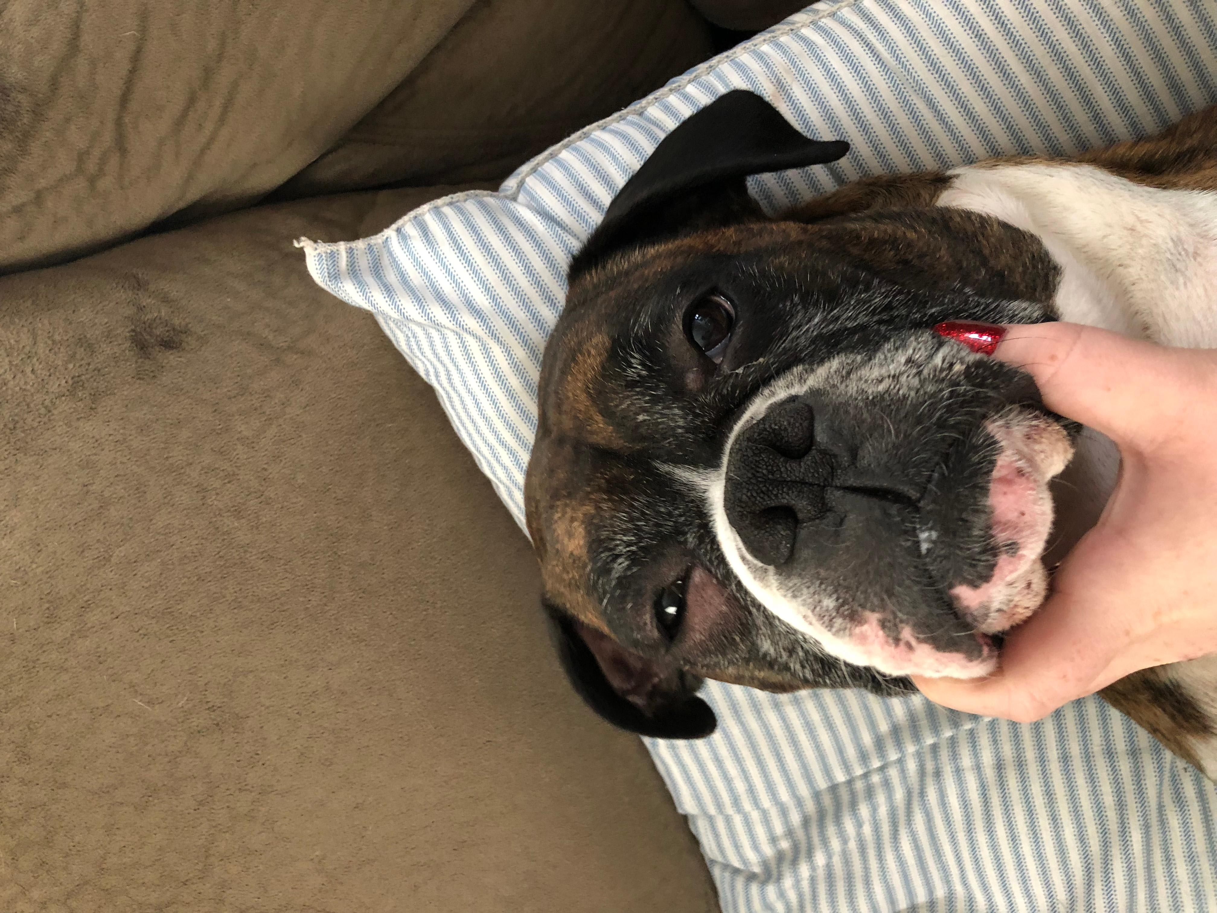 Question details sensitive content